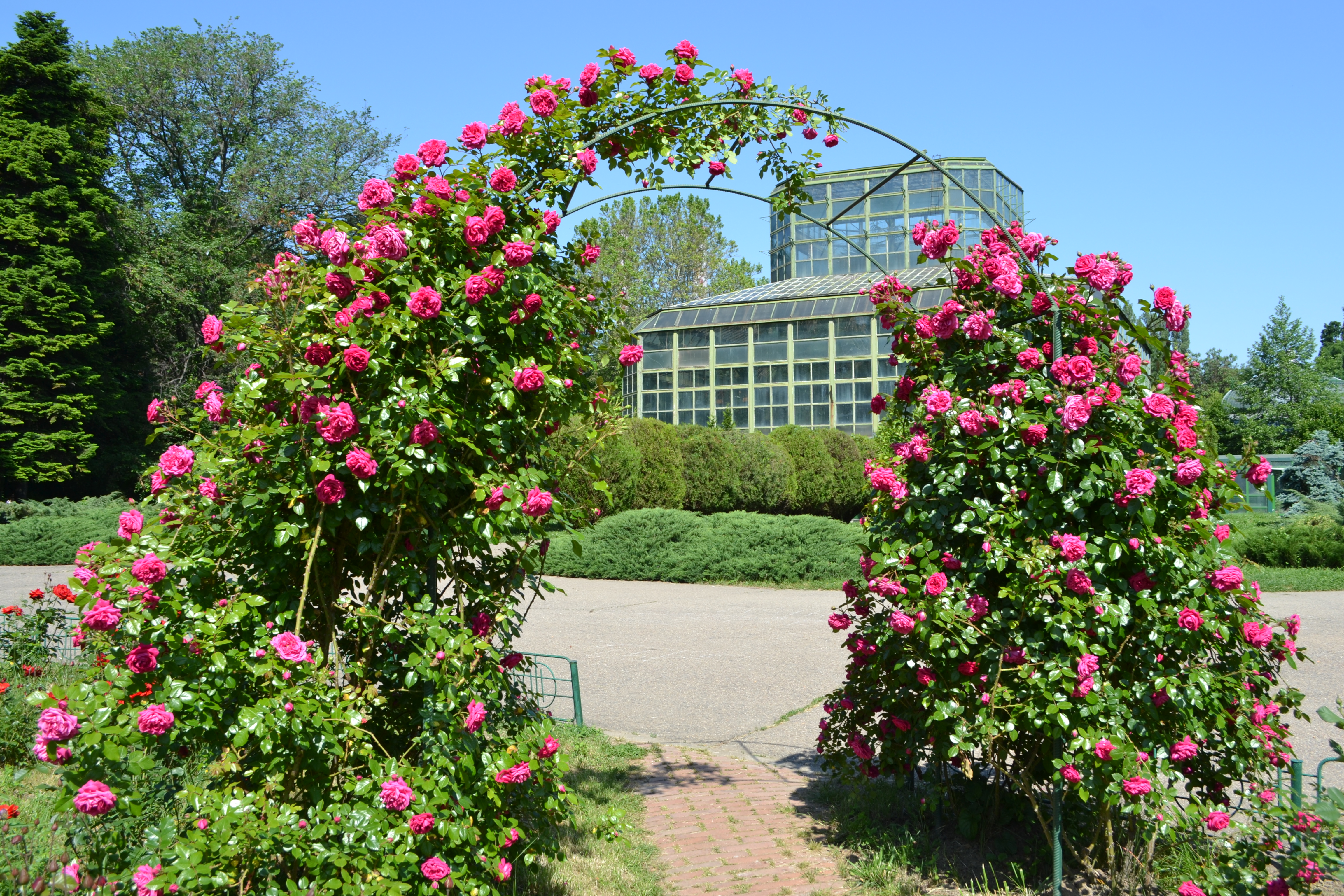 Tur ghidat în Grădina Botanică