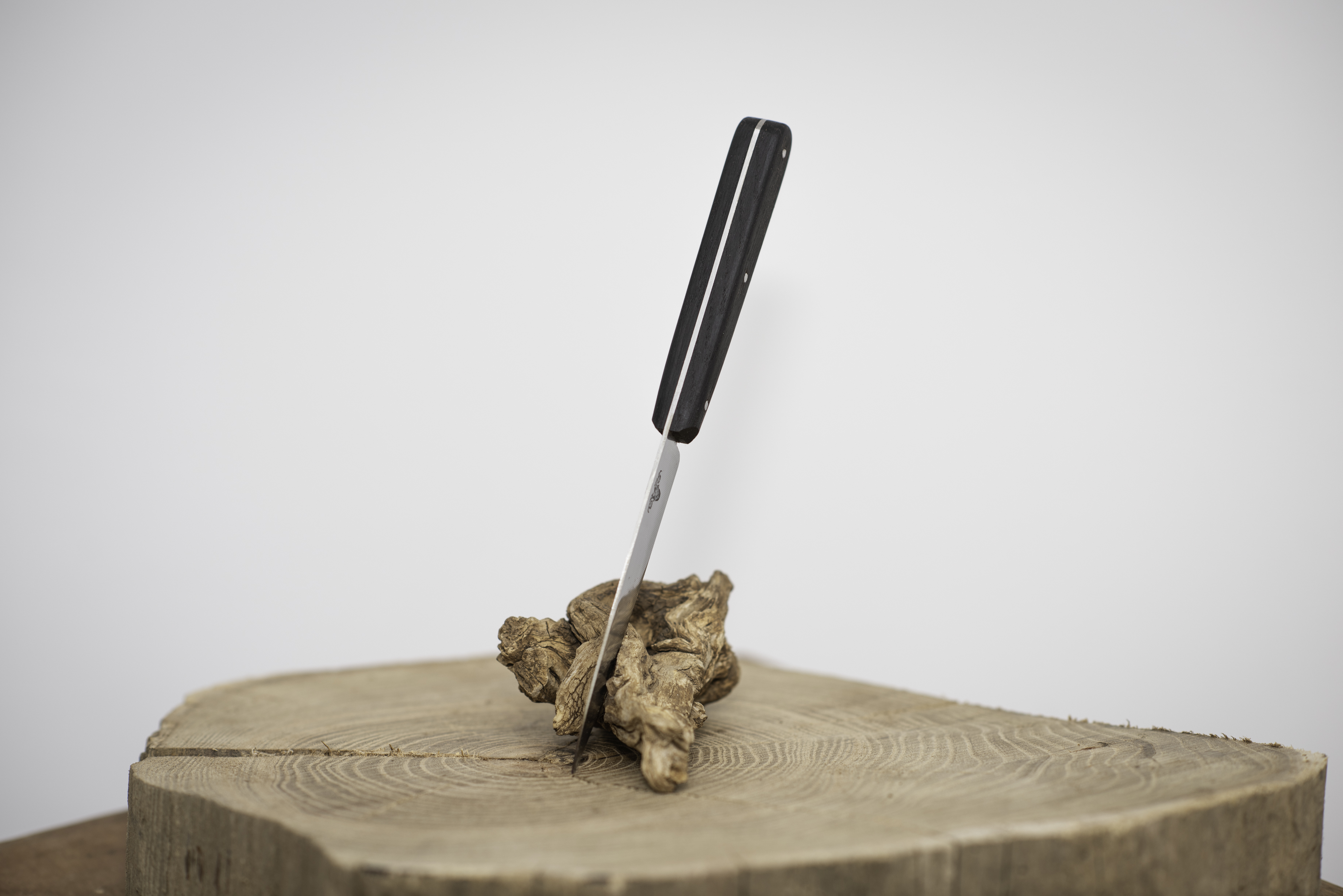 Couteau d'office Chêne noir des marais