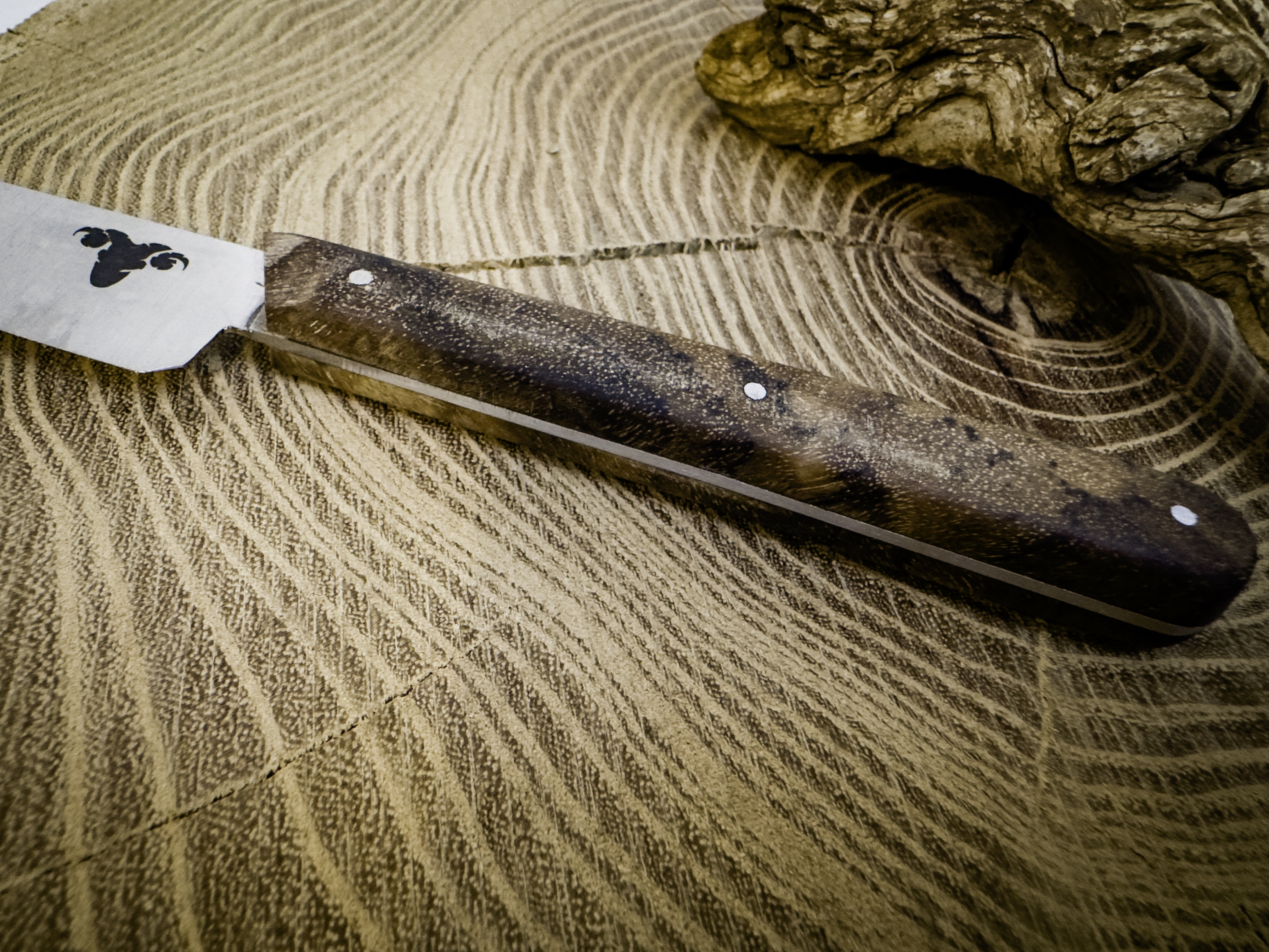 Couteau d'office manche en ronce de noyer stabilisée