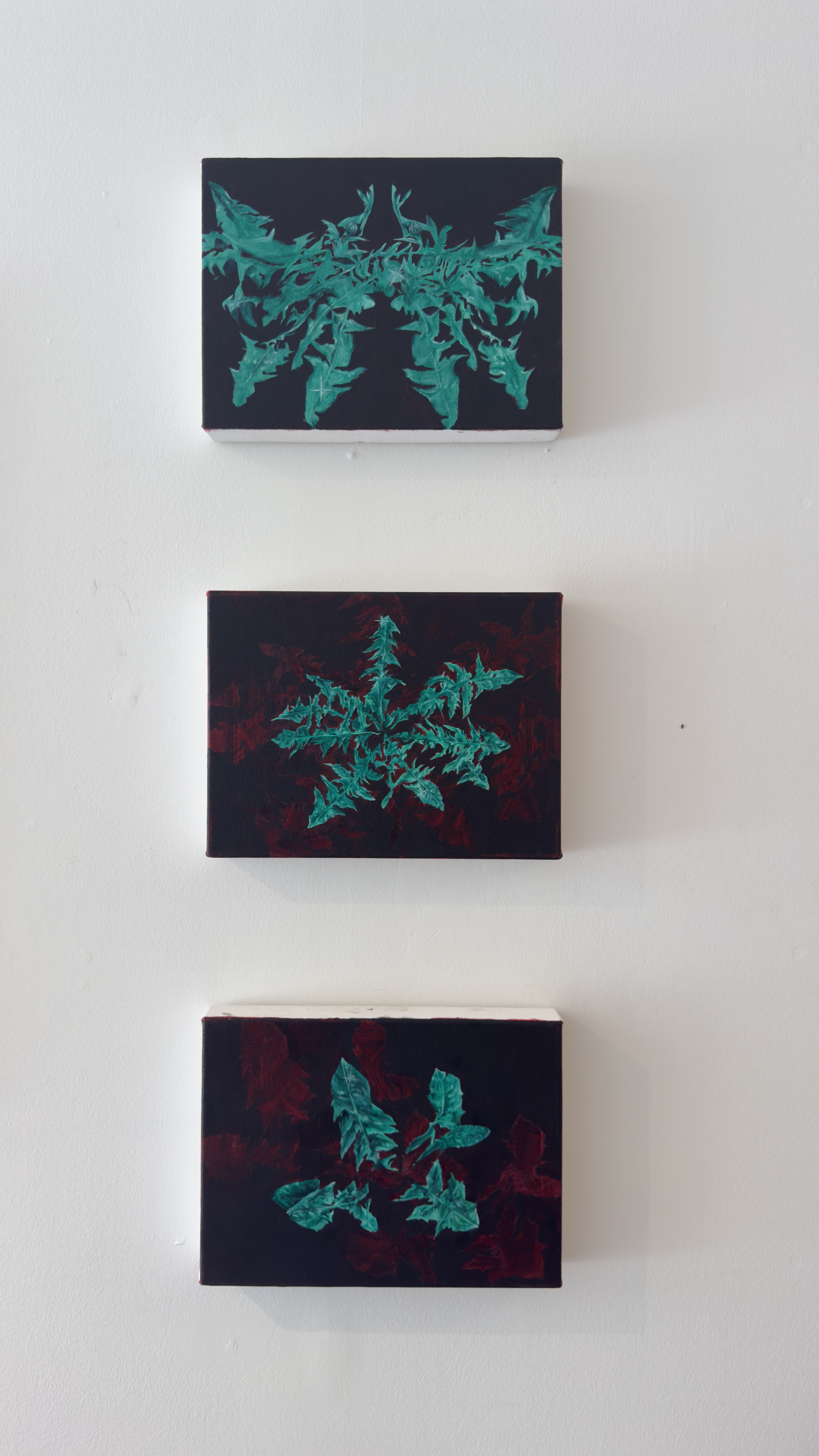 grounded in mistrust - Print