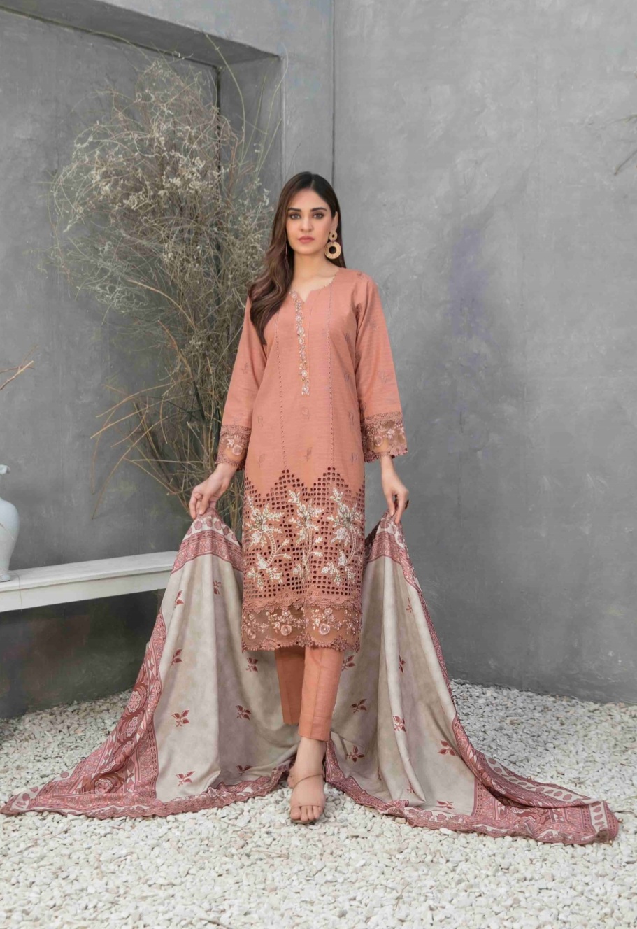 3 Piece Semi Stitched Embroidered Zari Khaddar Suite D-02