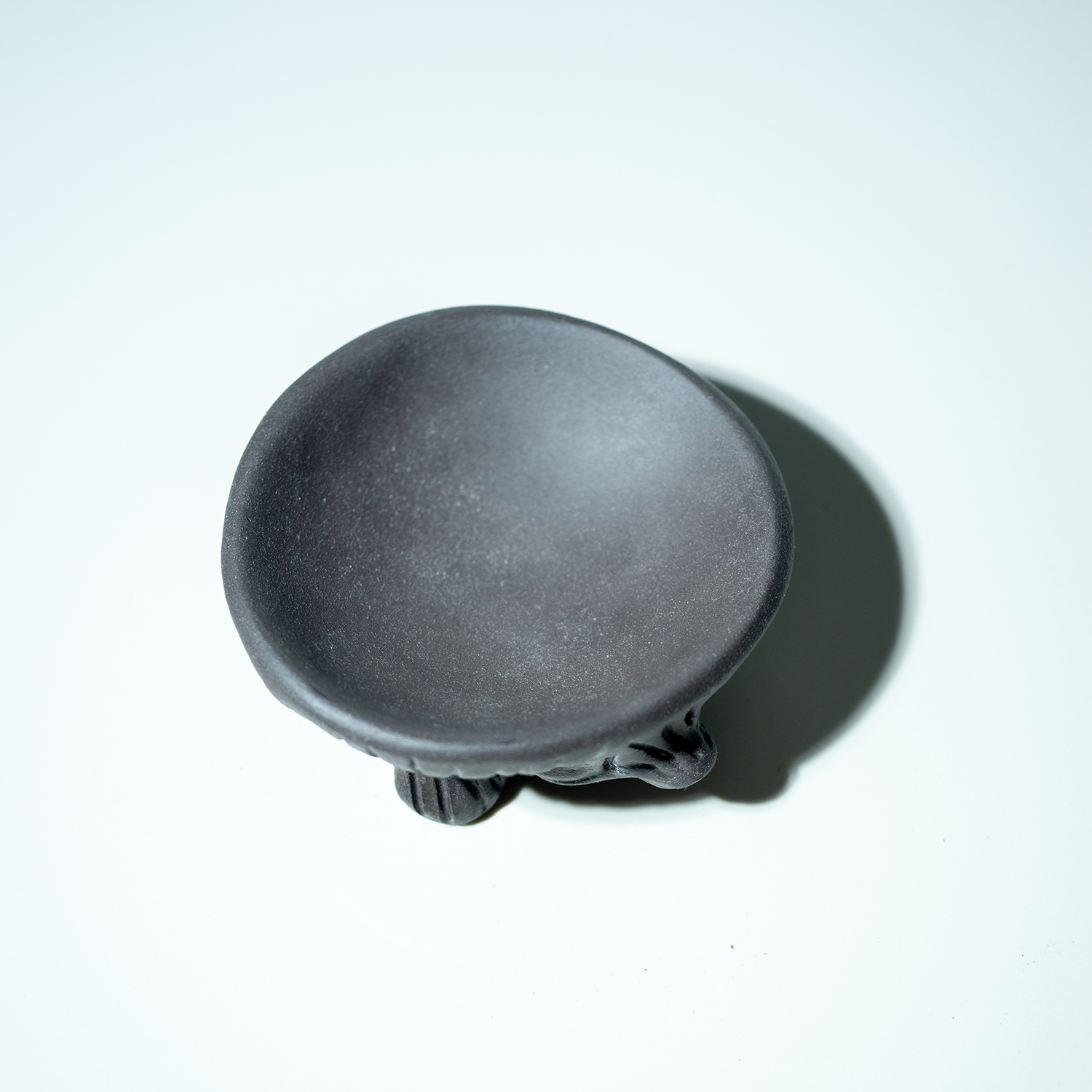 Smilkalinė SLAPUKĖ