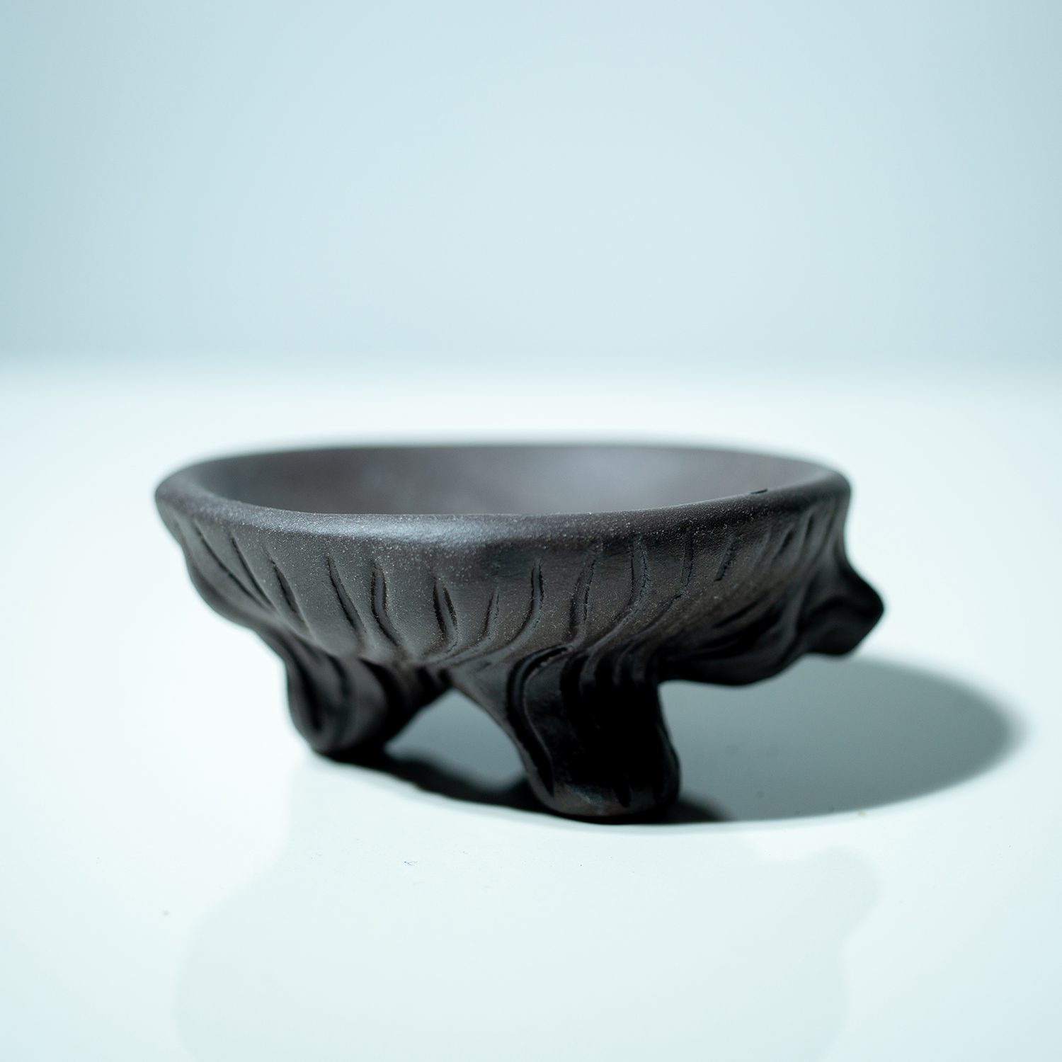 Smilkalinė SLAPUKĖ