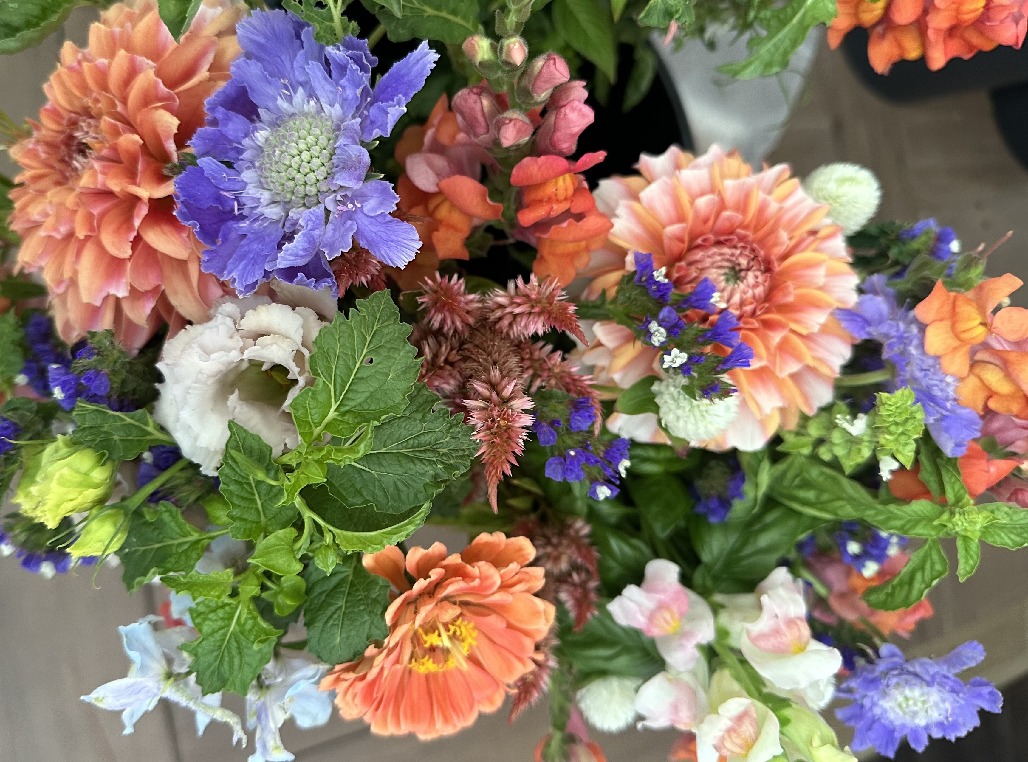 2026 Fall Flower Subscription