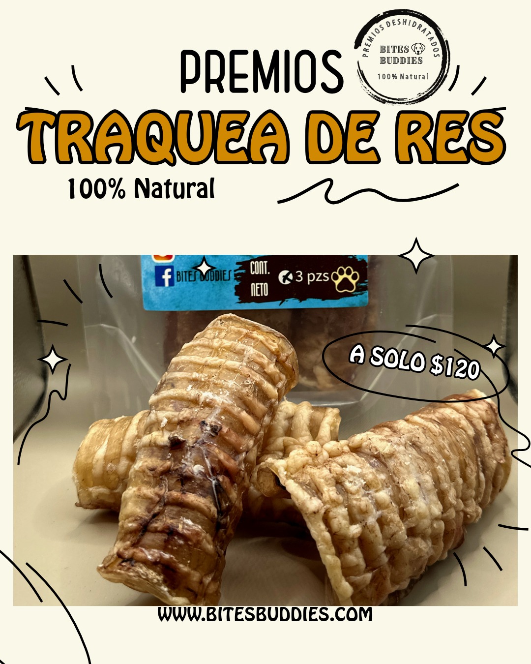 Traquea de res