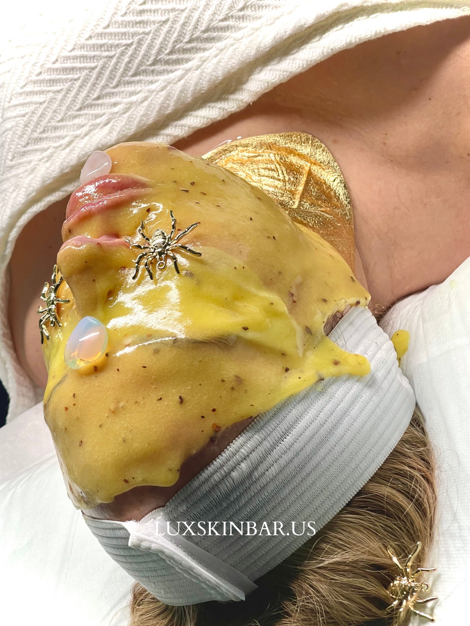 Lux Advanced Aesthetics Program: Mastering the Art and Science of Modern Skincare