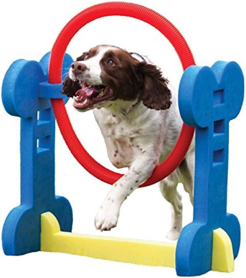 Dog Play and Sports Toys