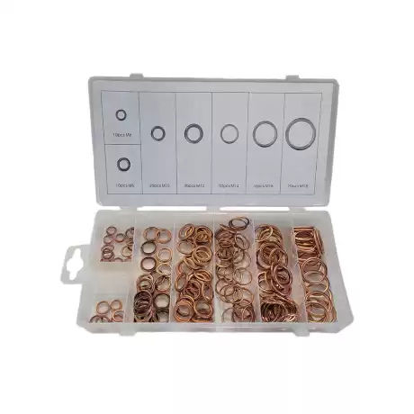 Koperen Carterplugringen | 150-delig