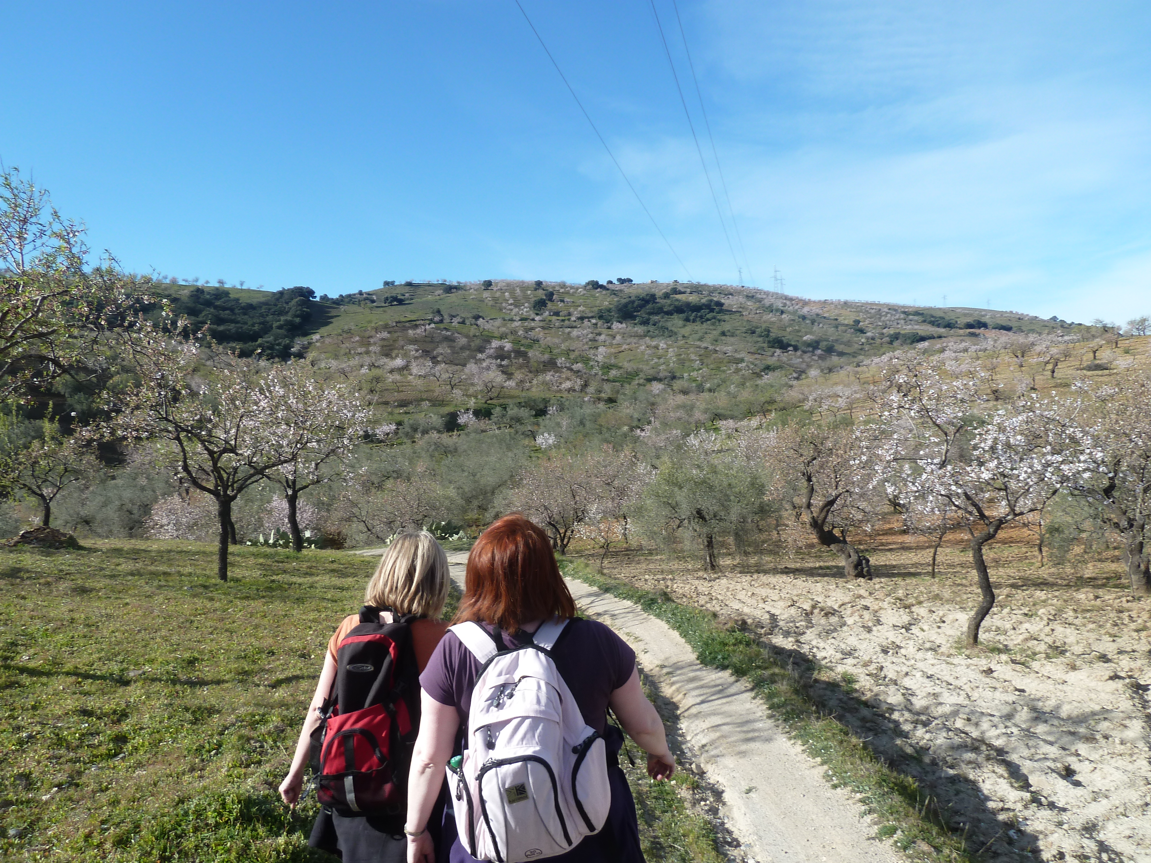 Self-Guided Trekking Sierra Nevada