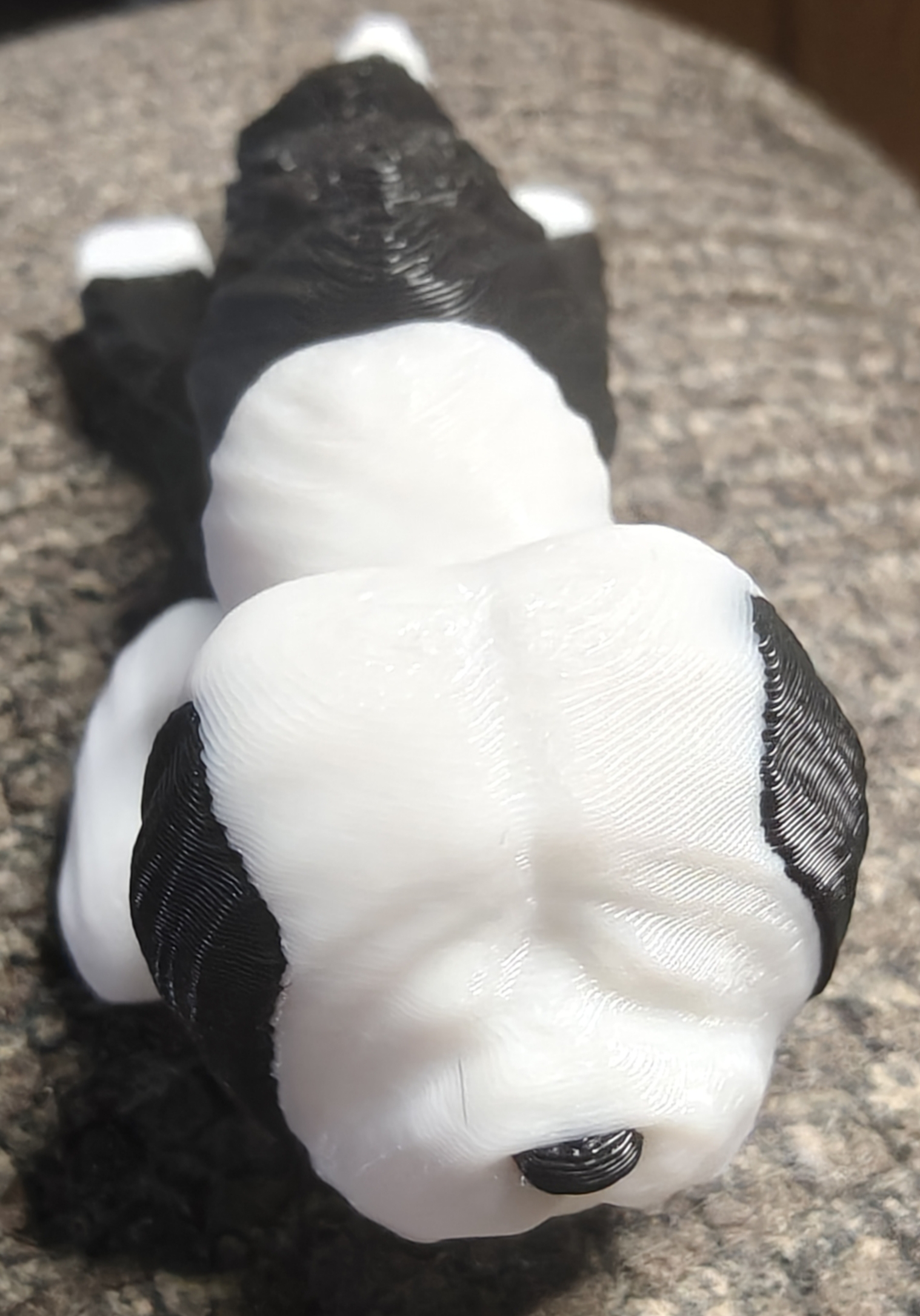 Black and White Puppy articulated
