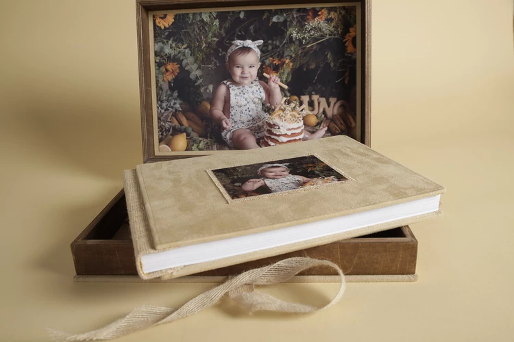 Colección Estudio