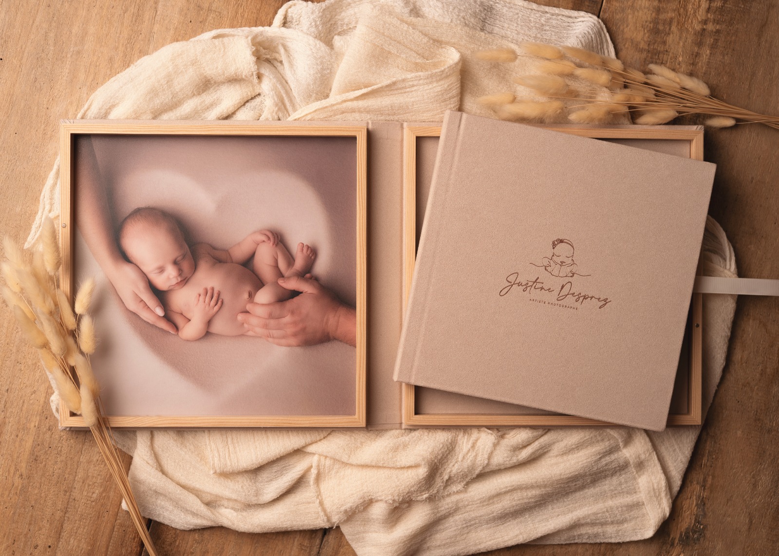 Colección Sophie Gaudin