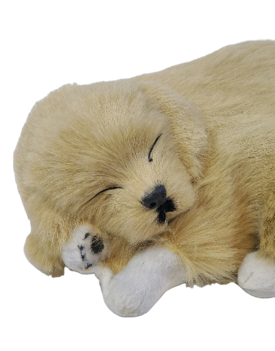  Miegantis auksinio retriverio šuniukas (su „kvėpavimo“ funkcija)