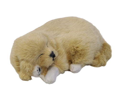  Miegantis auksinio retriverio šuniukas (su „kvėpavimo“ funkcija)