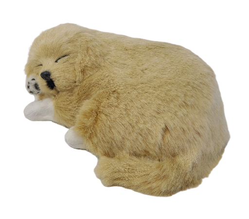  Miegantis auksinio retriverio šuniukas (su „kvėpavimo“ funkcija)