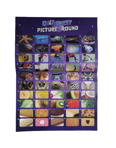 Quiz Quest stalo žaidimas