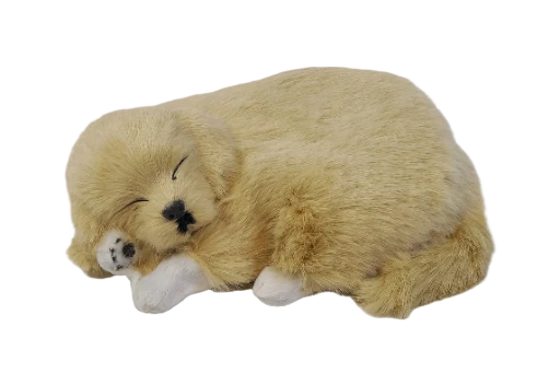 Miegantis auksinio retriverio šuniukas (su „kvėpavimo“ funkcija)