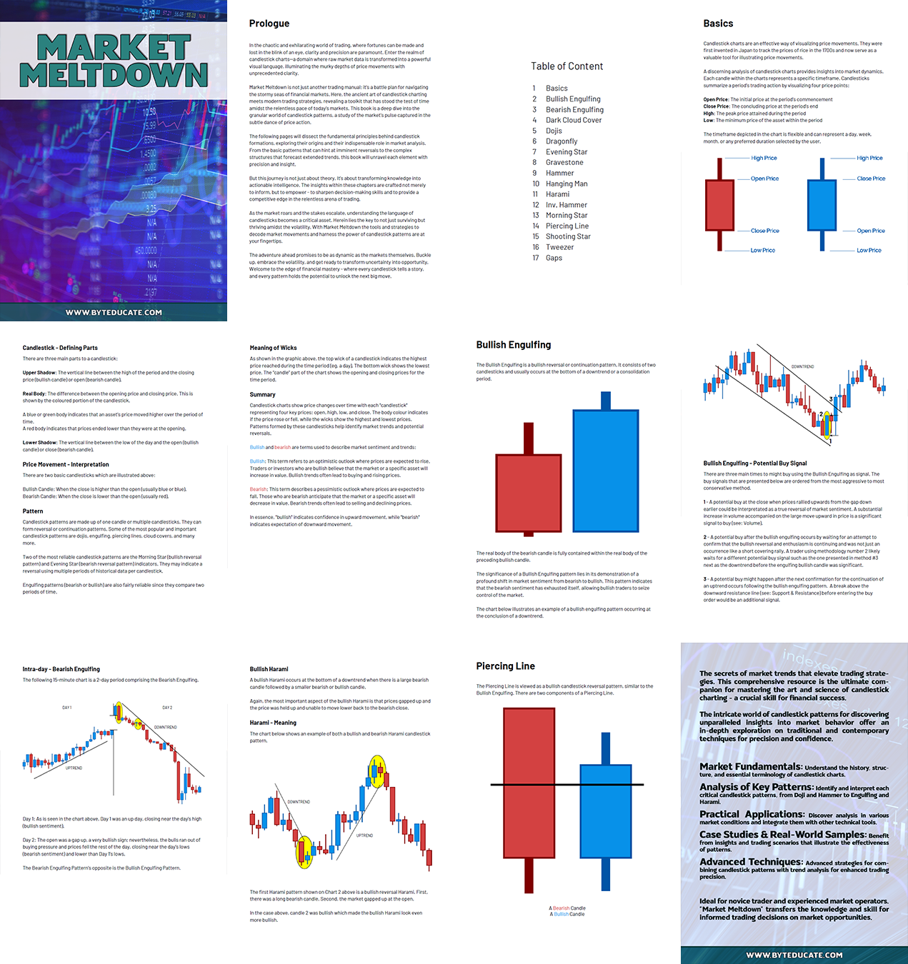 Market Meltdown - The Candlestick Analysis Guide