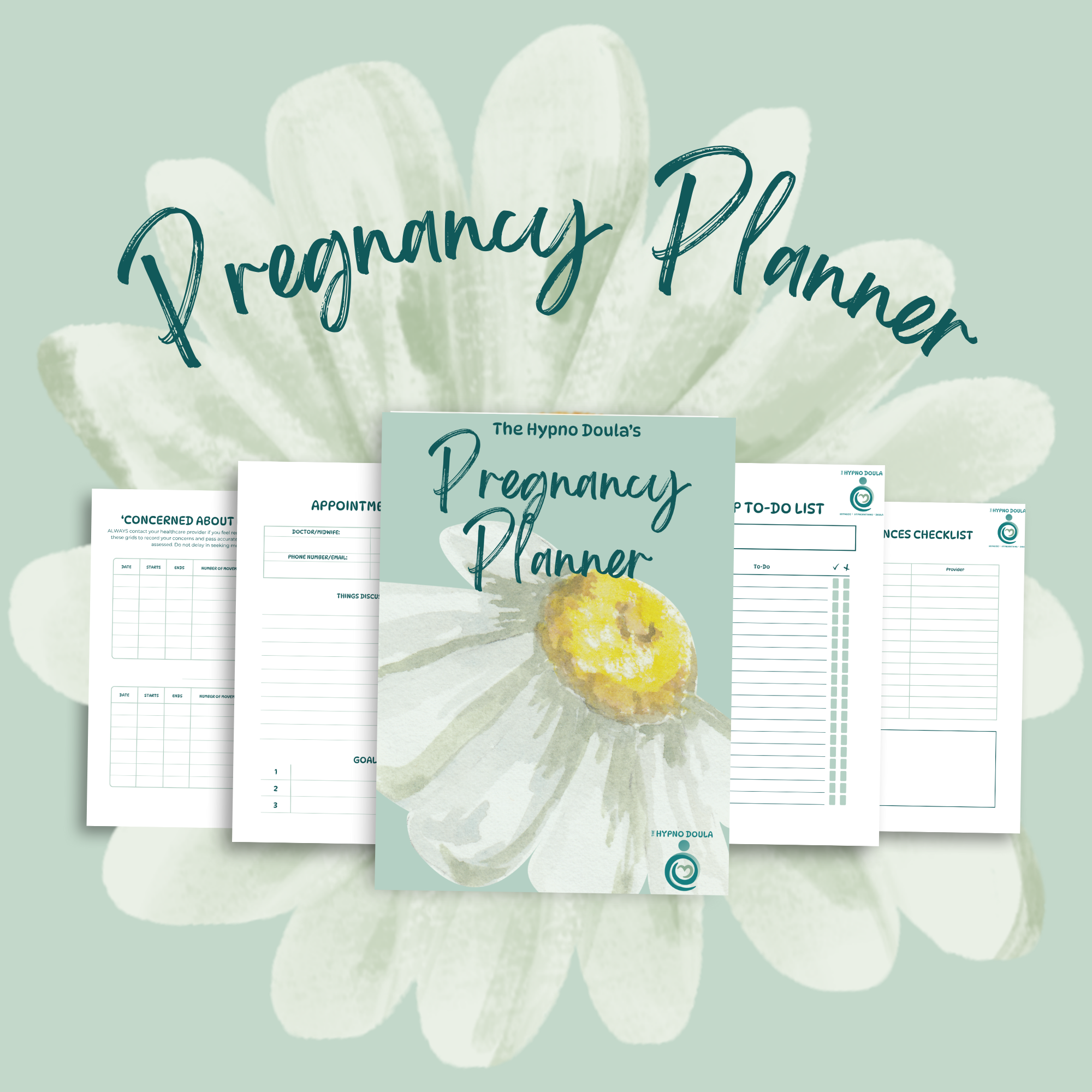 Ultimate Pregnancy & New Baby Planner