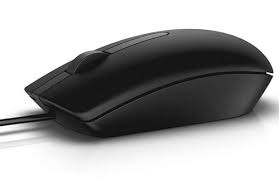 Souris DELL MS116 Ambidextre USB Type-A Optique 1000 DPI