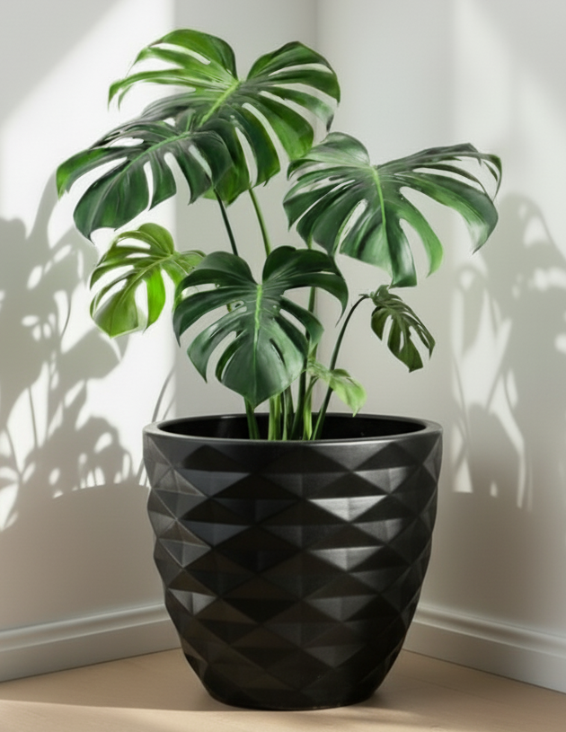 مودرن فايبر 50 سم (لا يشمل النبات)