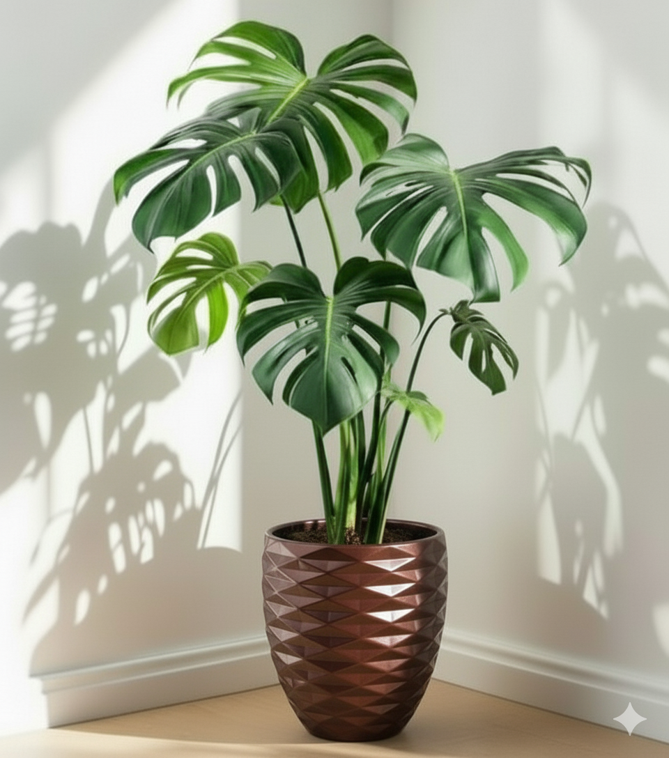 مودرن فايبر 30 سم (لا يشمل النبات)