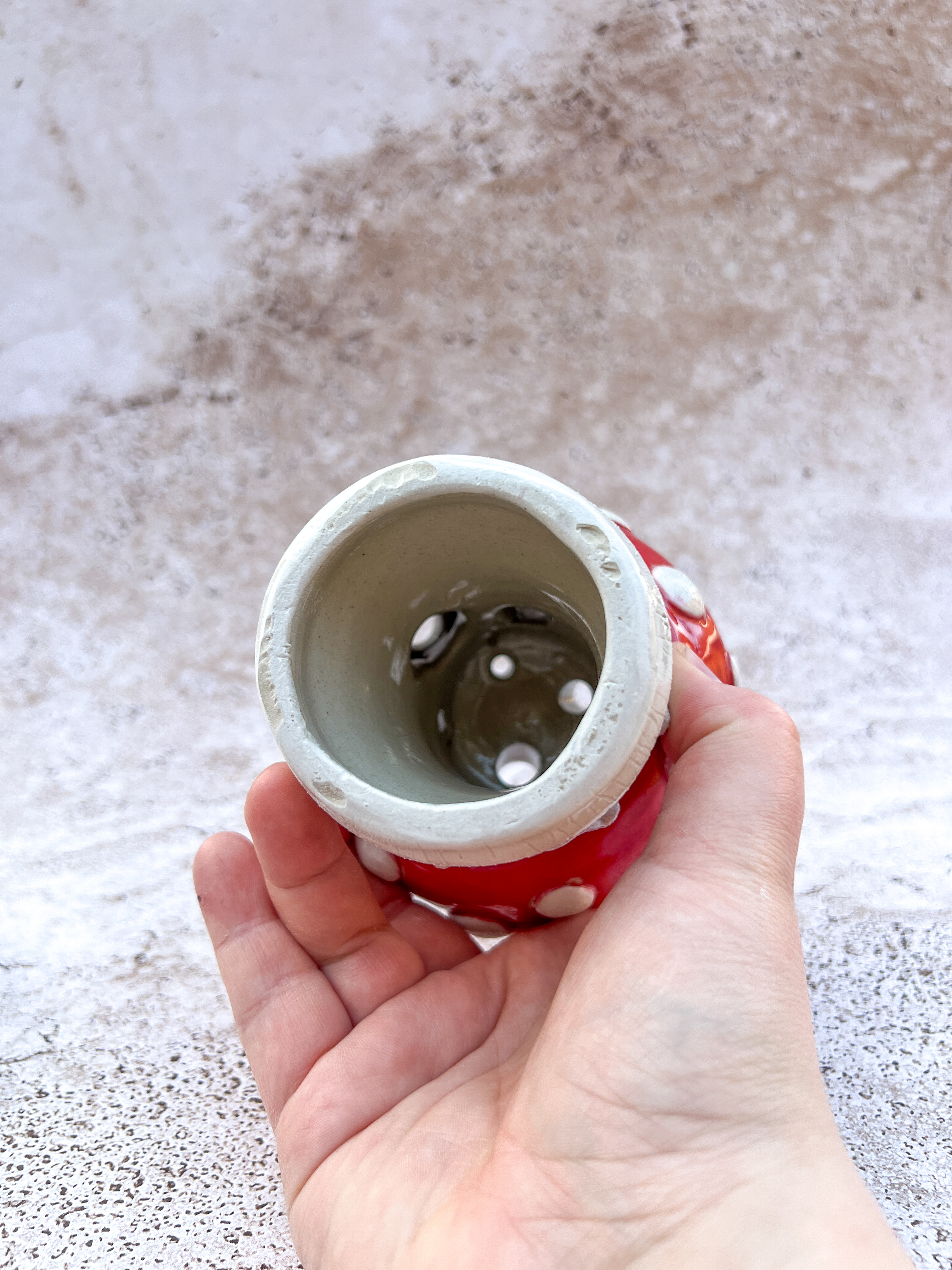 Photphore Champignon