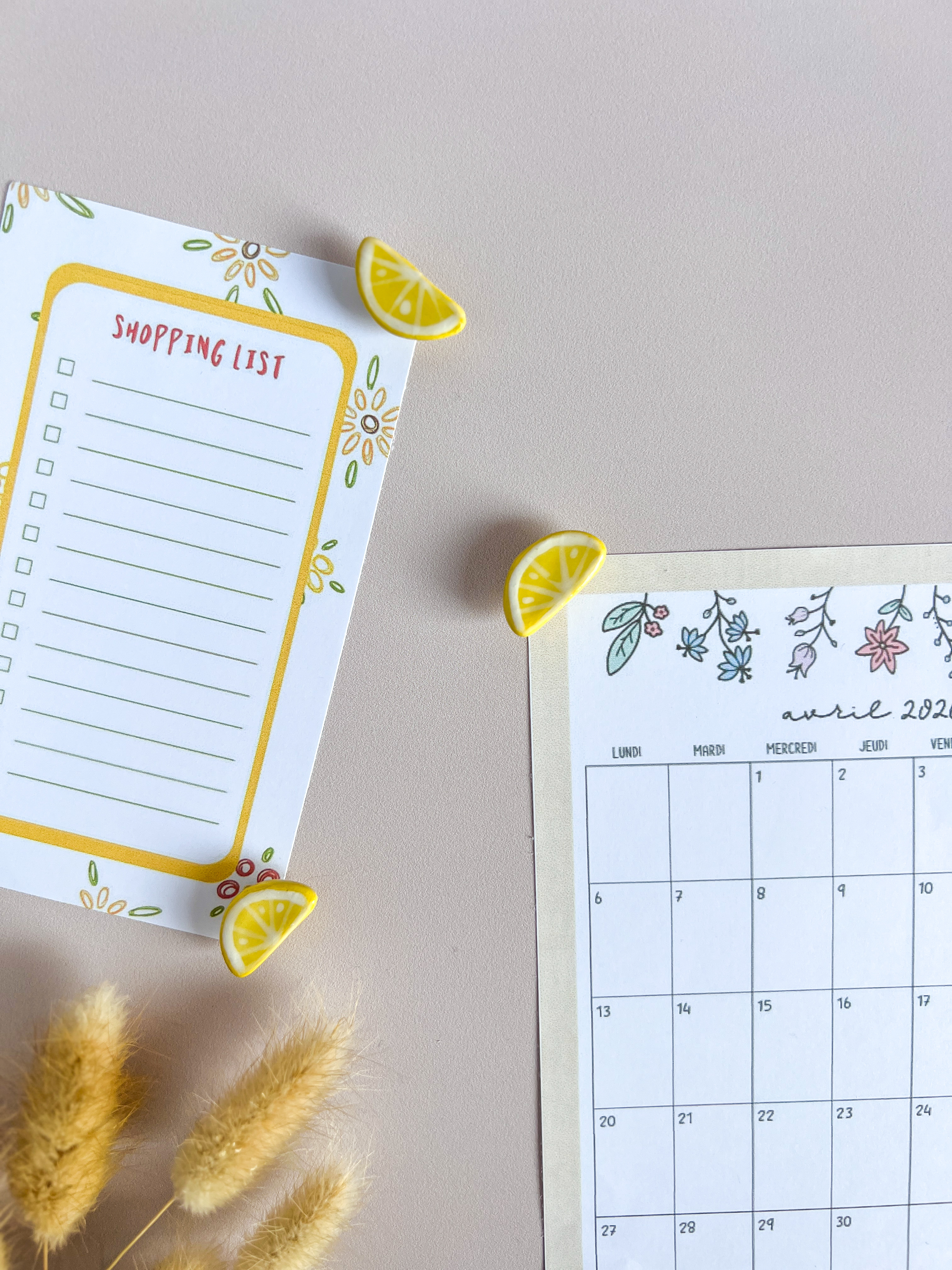 Magnet "Citron jaune" 🍋