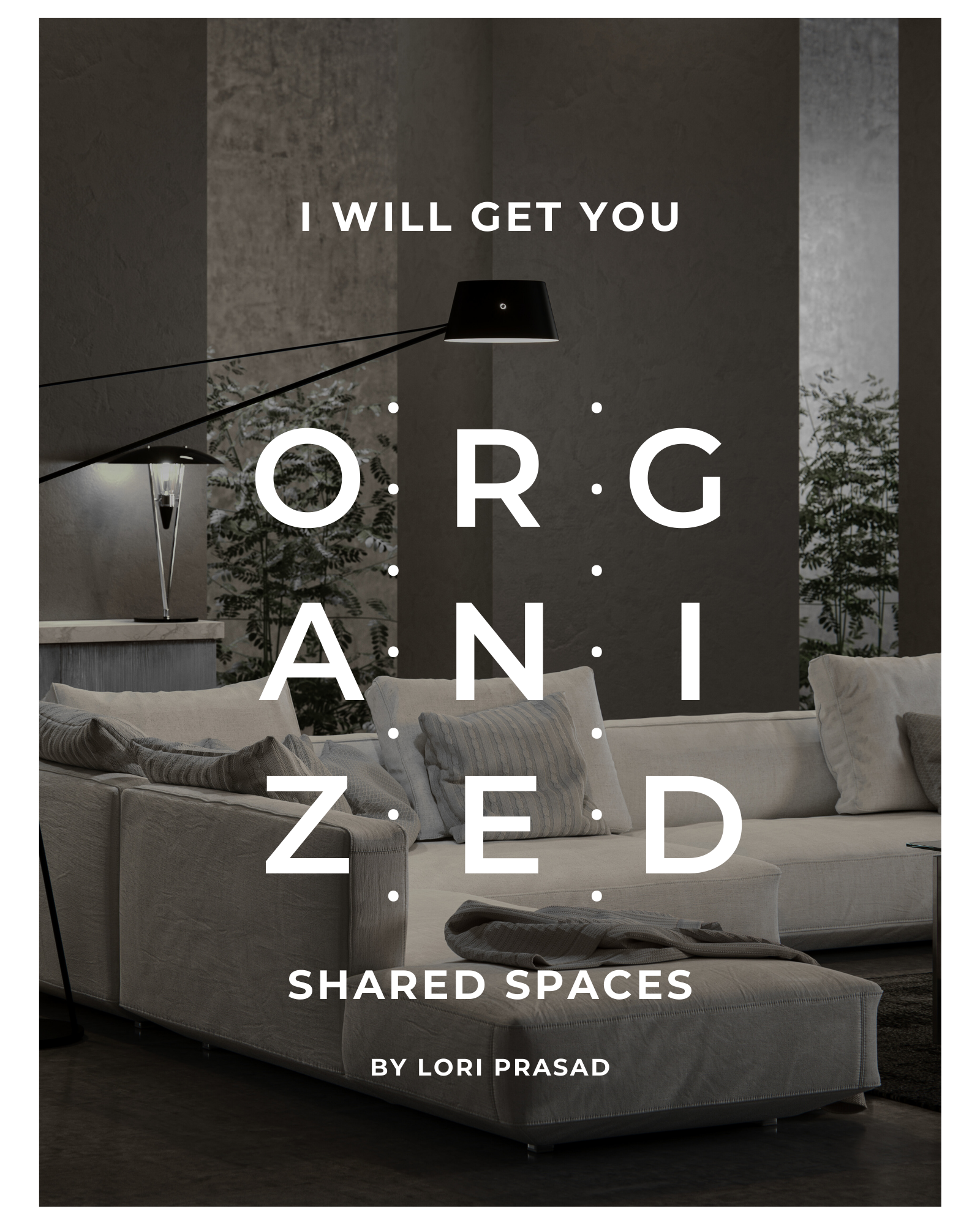 I Will Get You Organized Shared Spaces