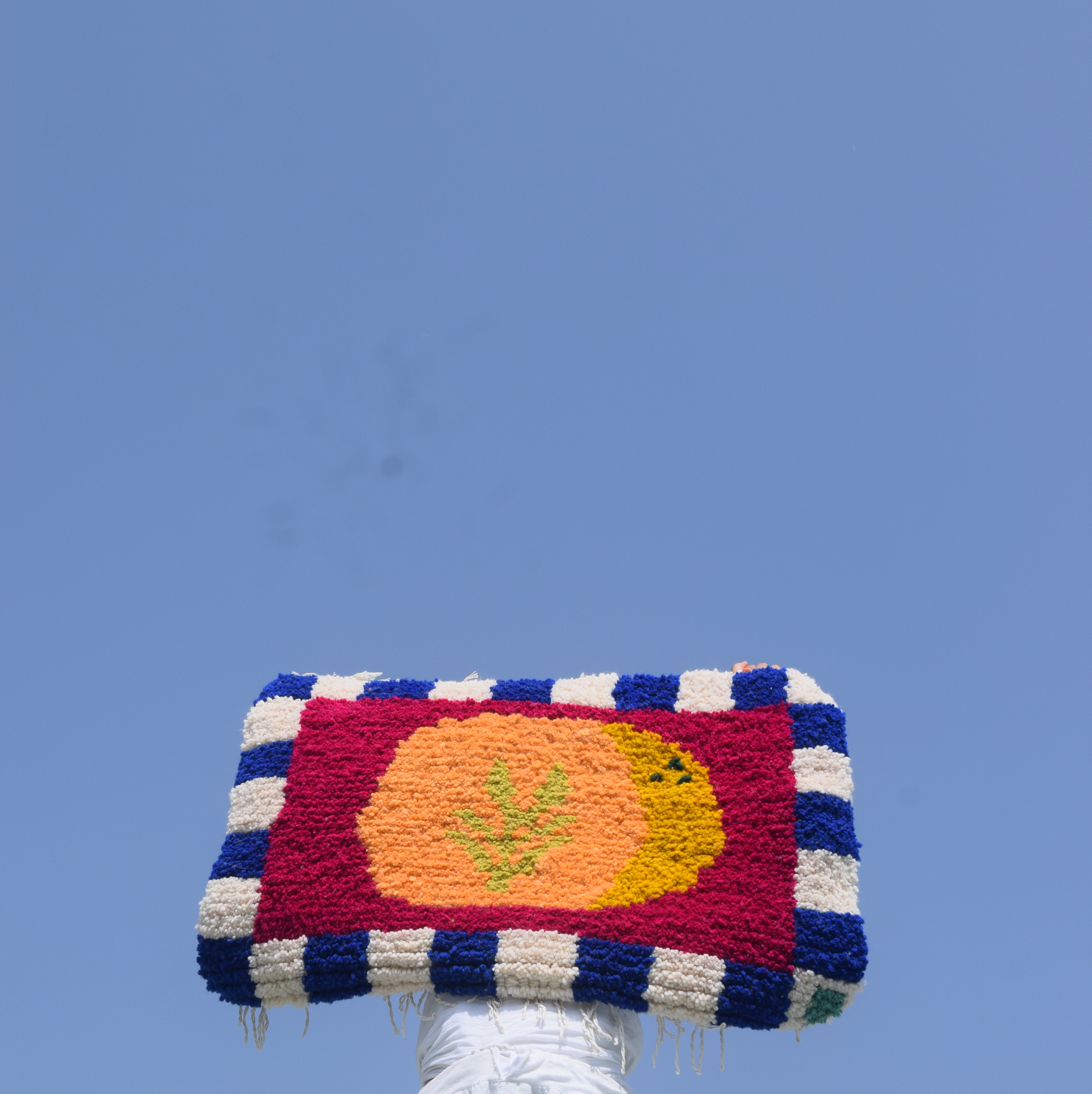 FIRI (52 cm X 85 cm)