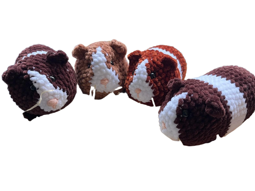 Guinea Pig