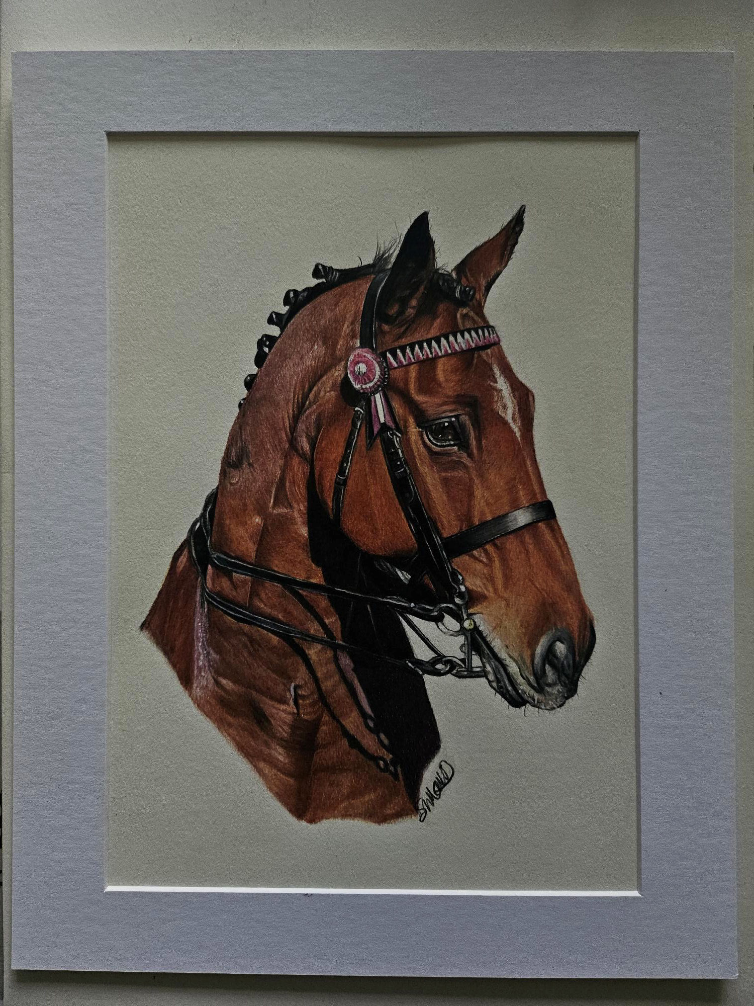 Water-Colour Animal Paintings