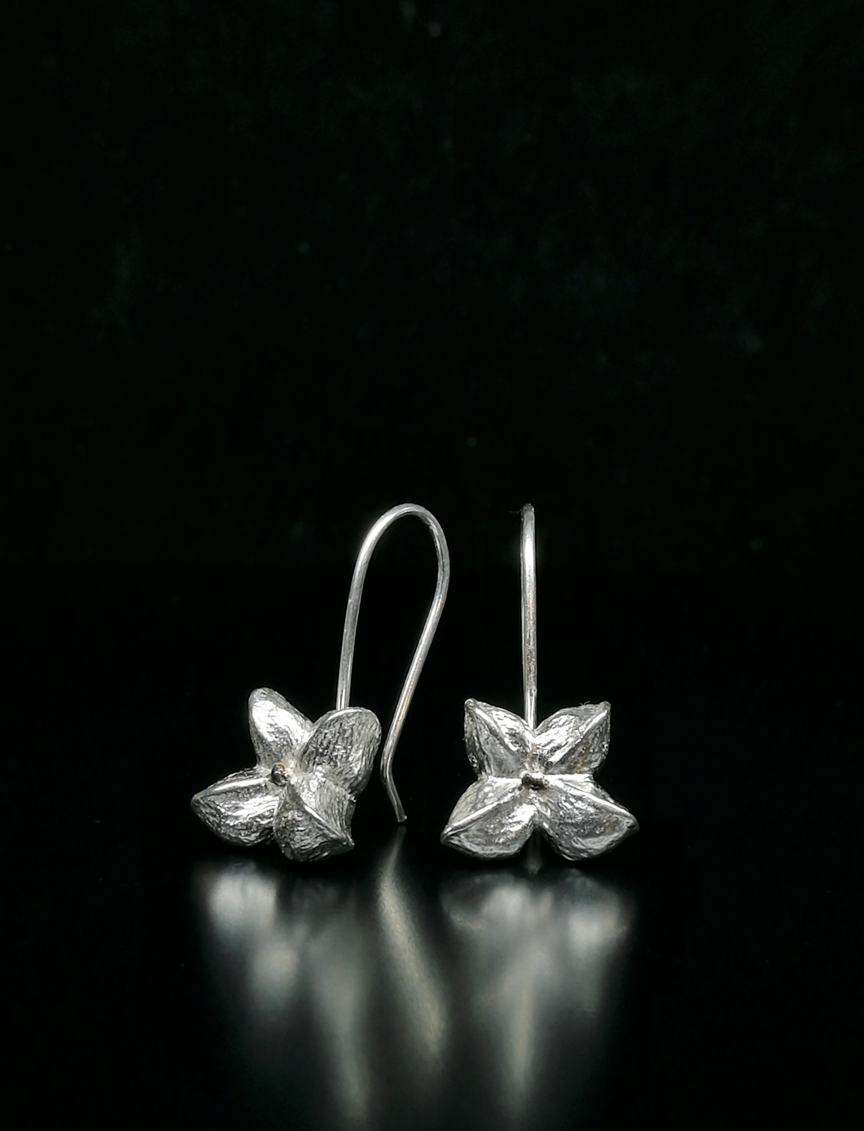 Auskarai "Ožekšnis"