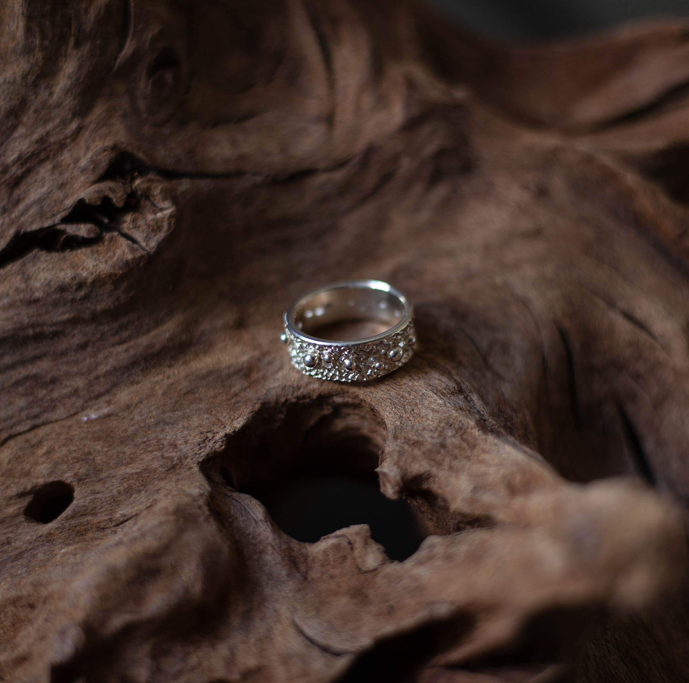 Žiedas "Paukščių takas"