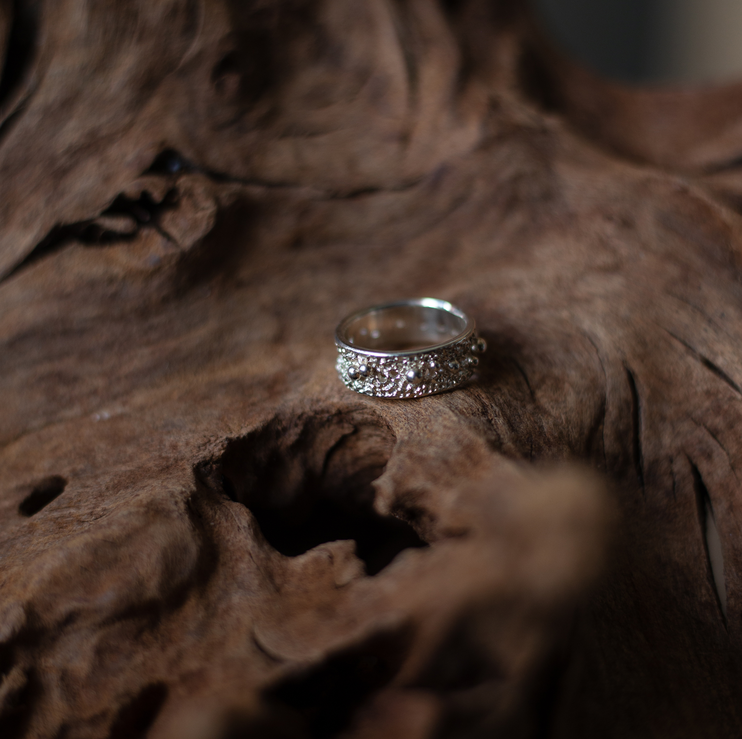 Žiedas "Paukščių takas"