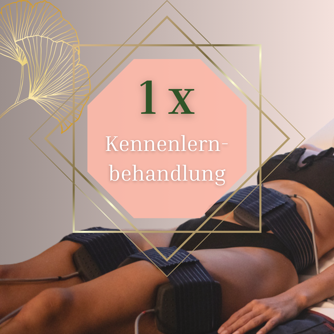 Divinia Eclibs Kennenlernbehandlung