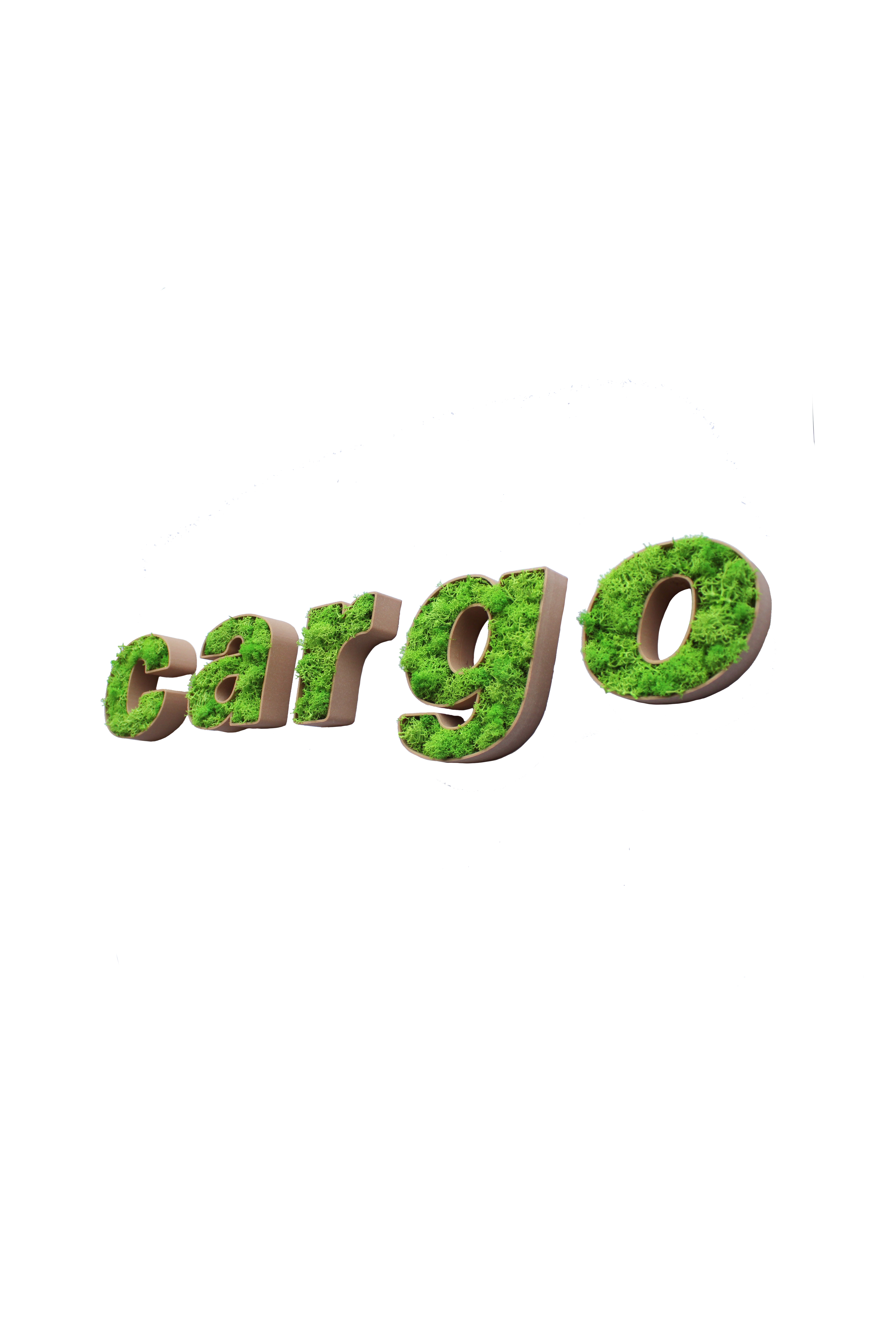 Logo als Moosbild mit 3D gedrucktem Rahmen