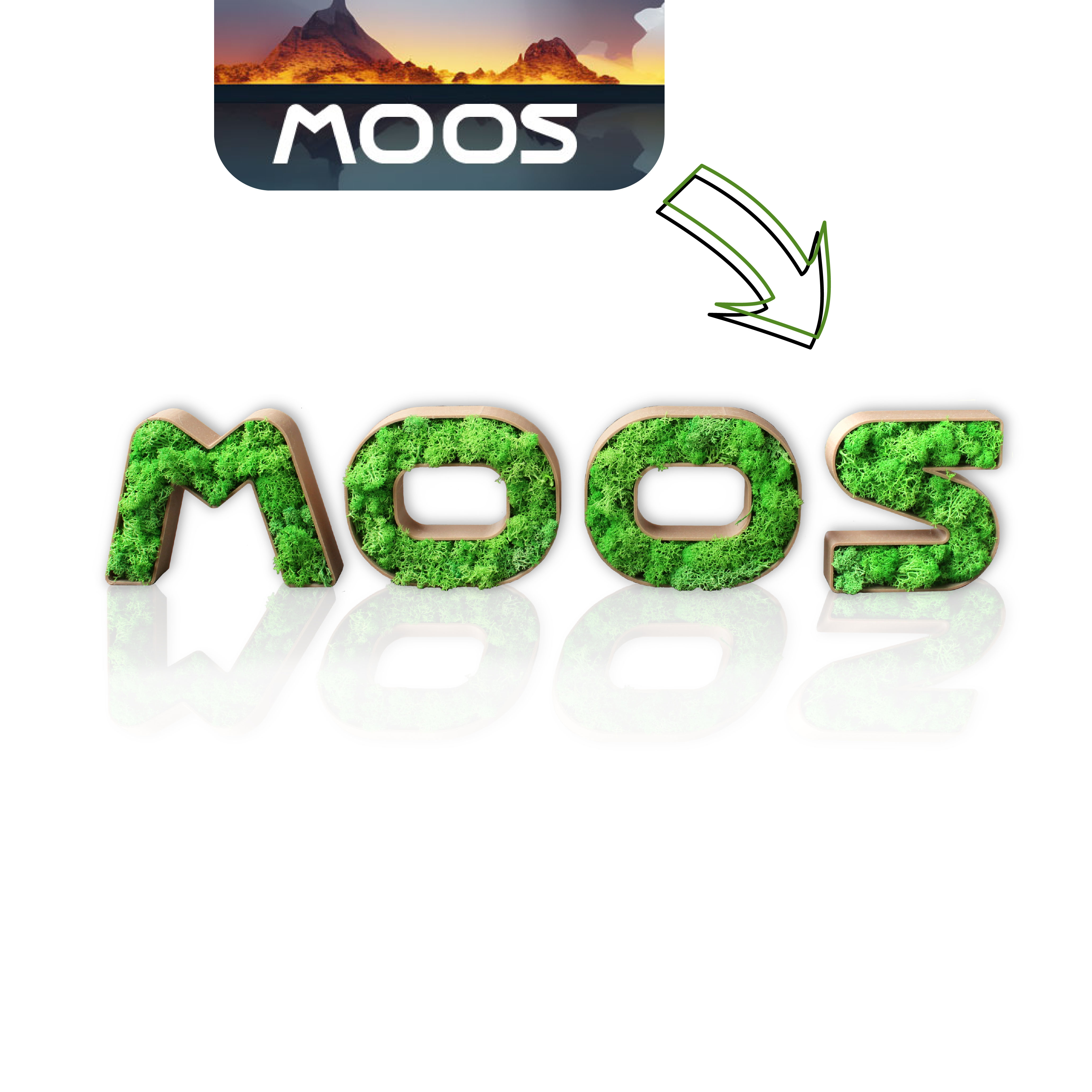 Logo als Moosbild mit 3D gedrucktem Rahmen