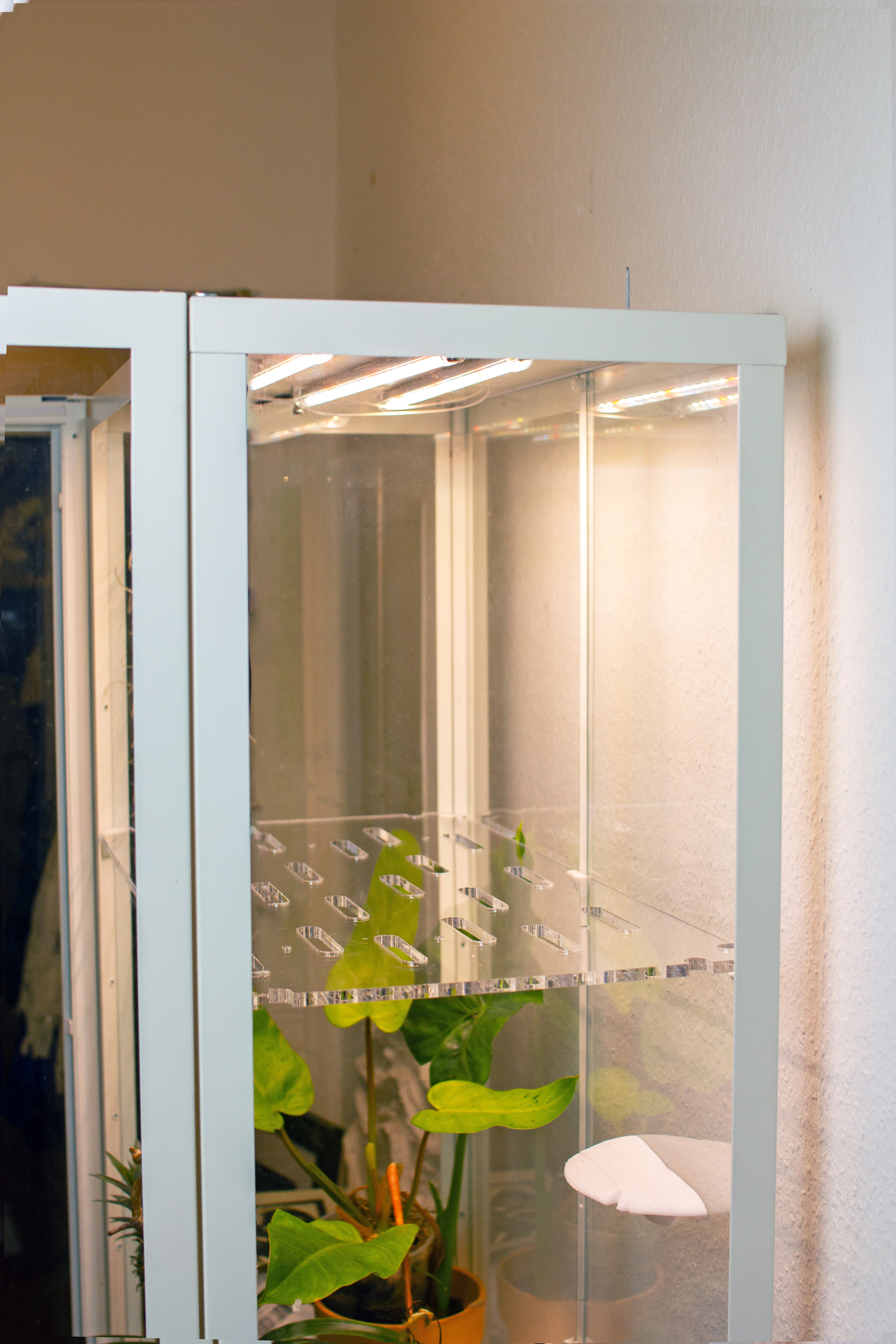 Milsbo Einlegeböden | Greenhouse | Pflanzeneinsatz 