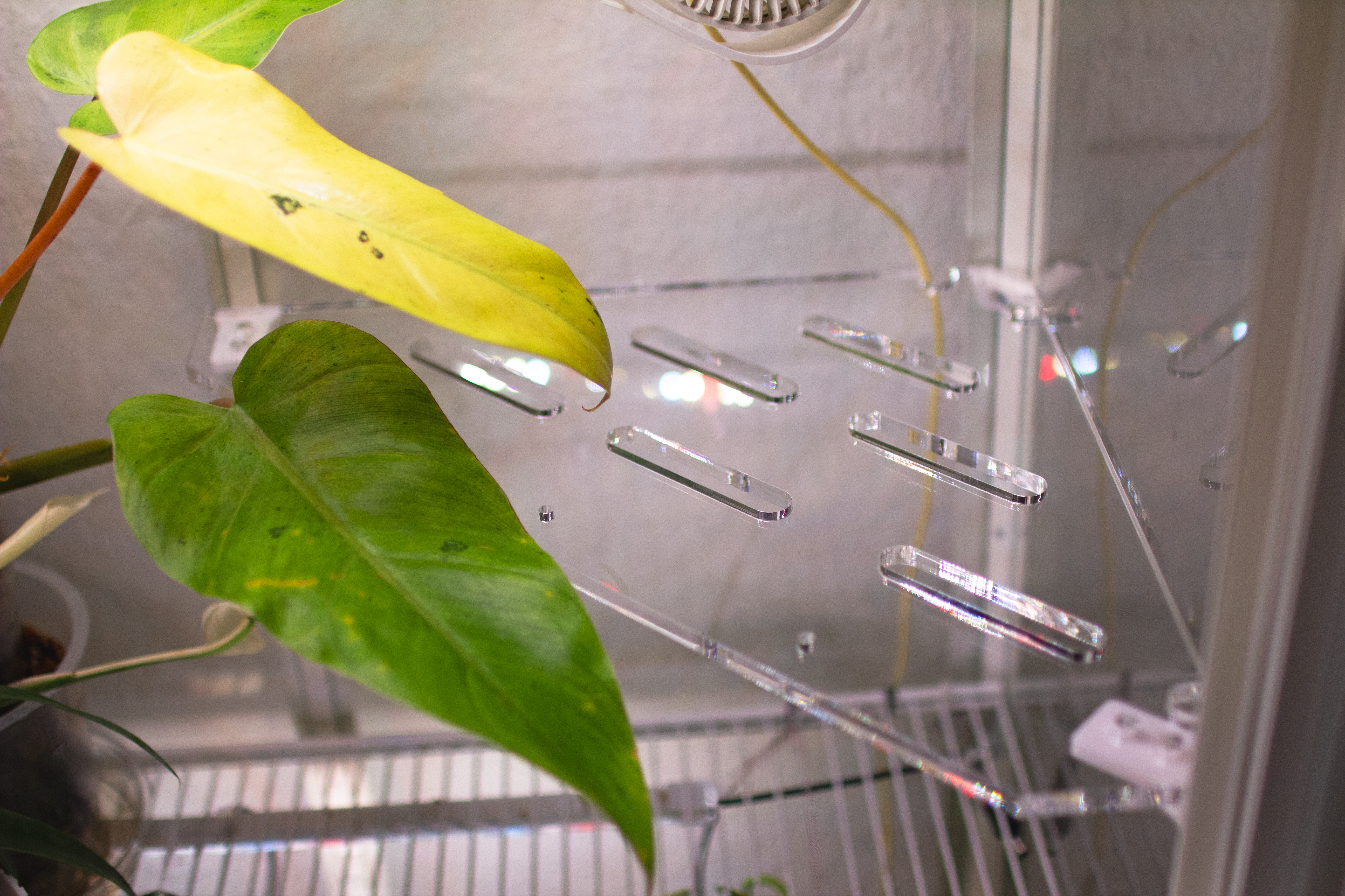 Milsbo Einlegeböden | Greenhouse | Pflanzeneinsatz 