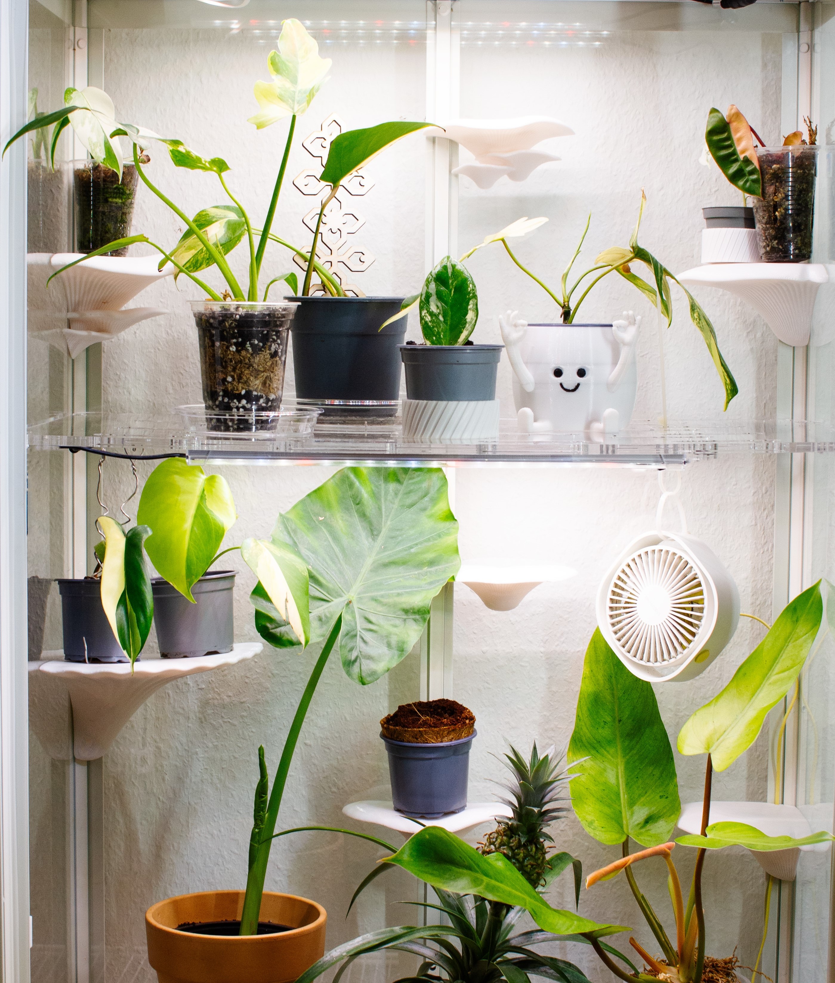 Milsbo Einlegeböden | Greenhouse | Pflanzeneinsatz 