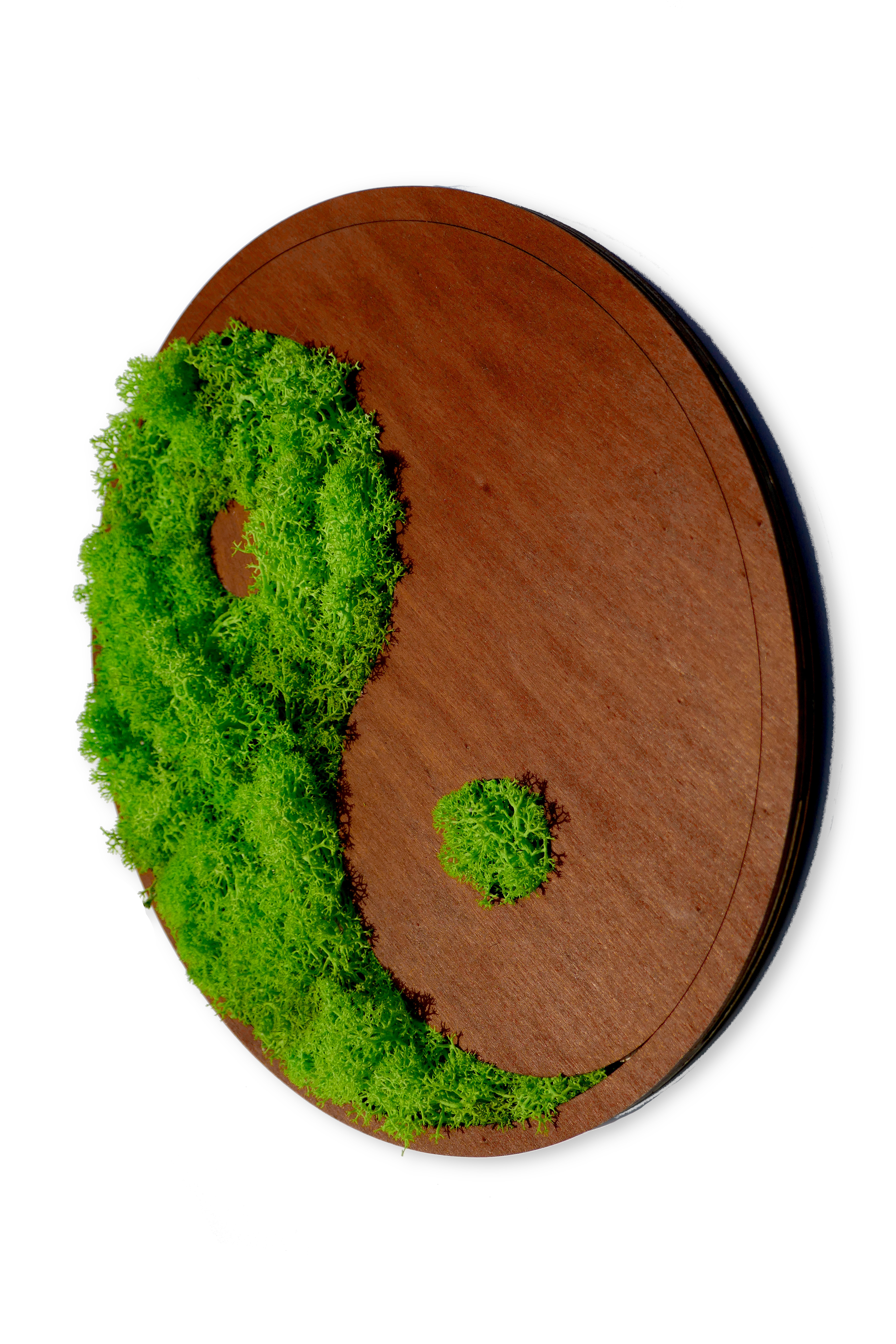 Yin und Yang | Bild aus Moos und Holz