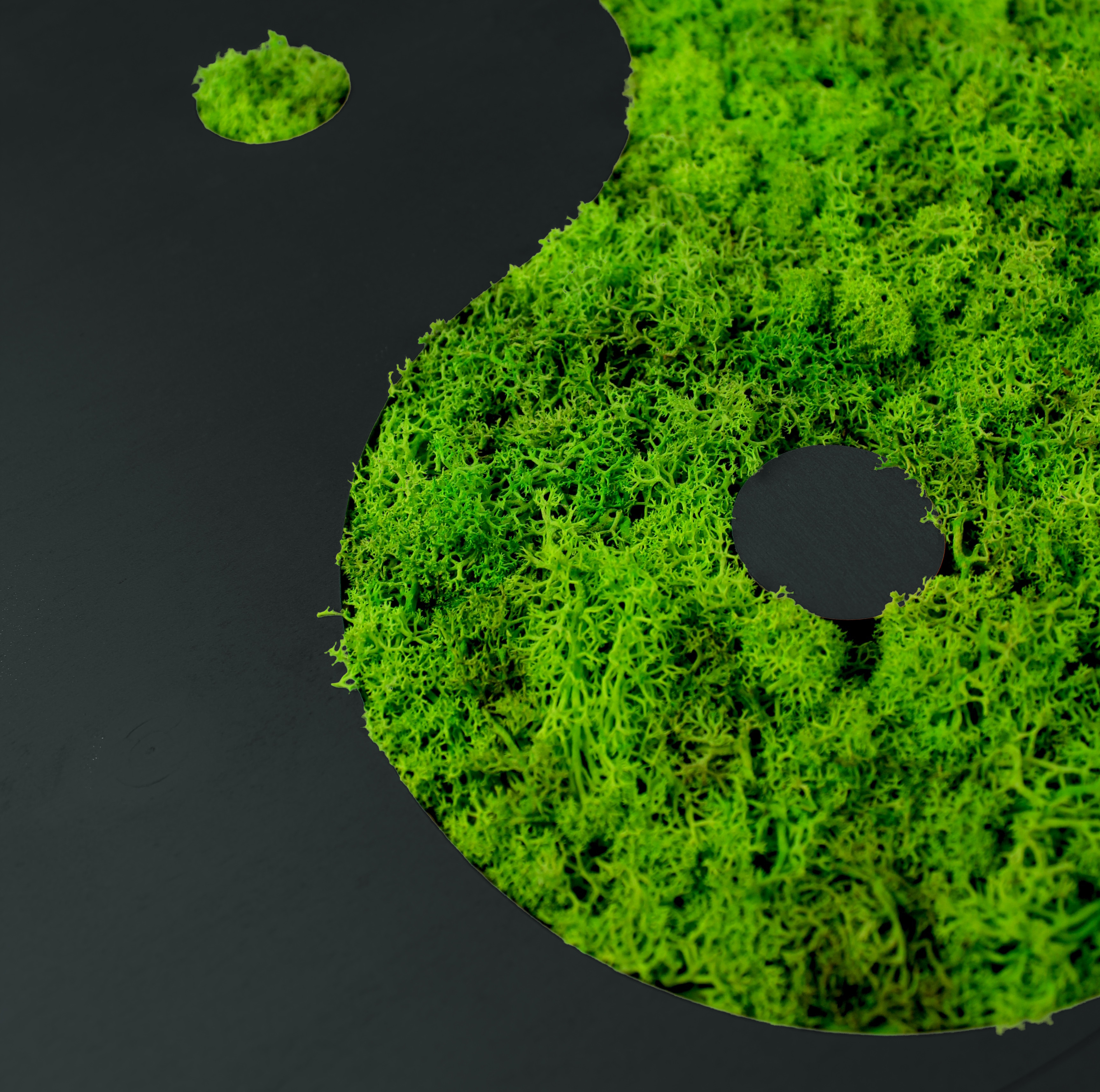 Yin und Yang | Couchtisch mit Islandmoos