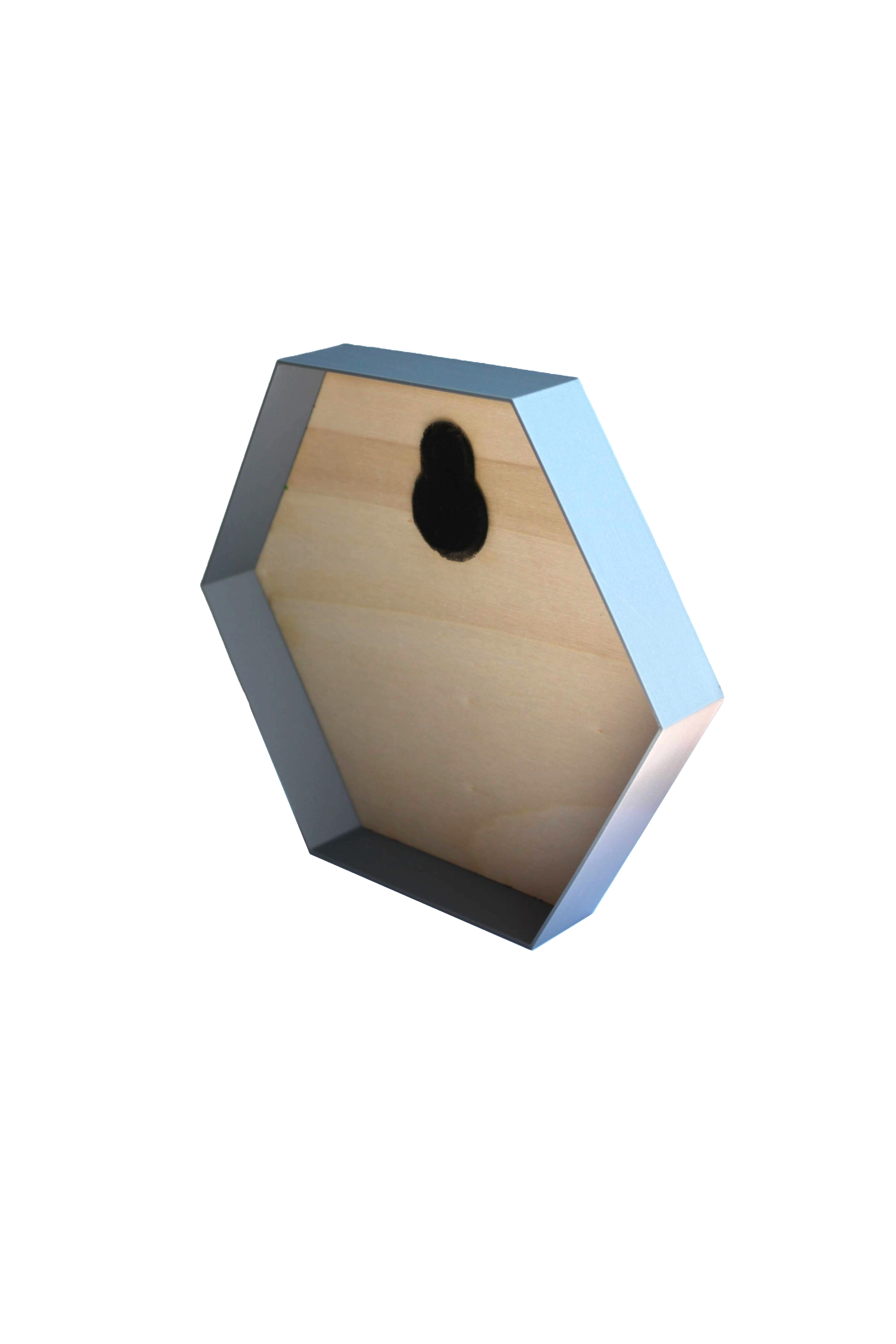 Hexagon Rahmen für Moosbilder