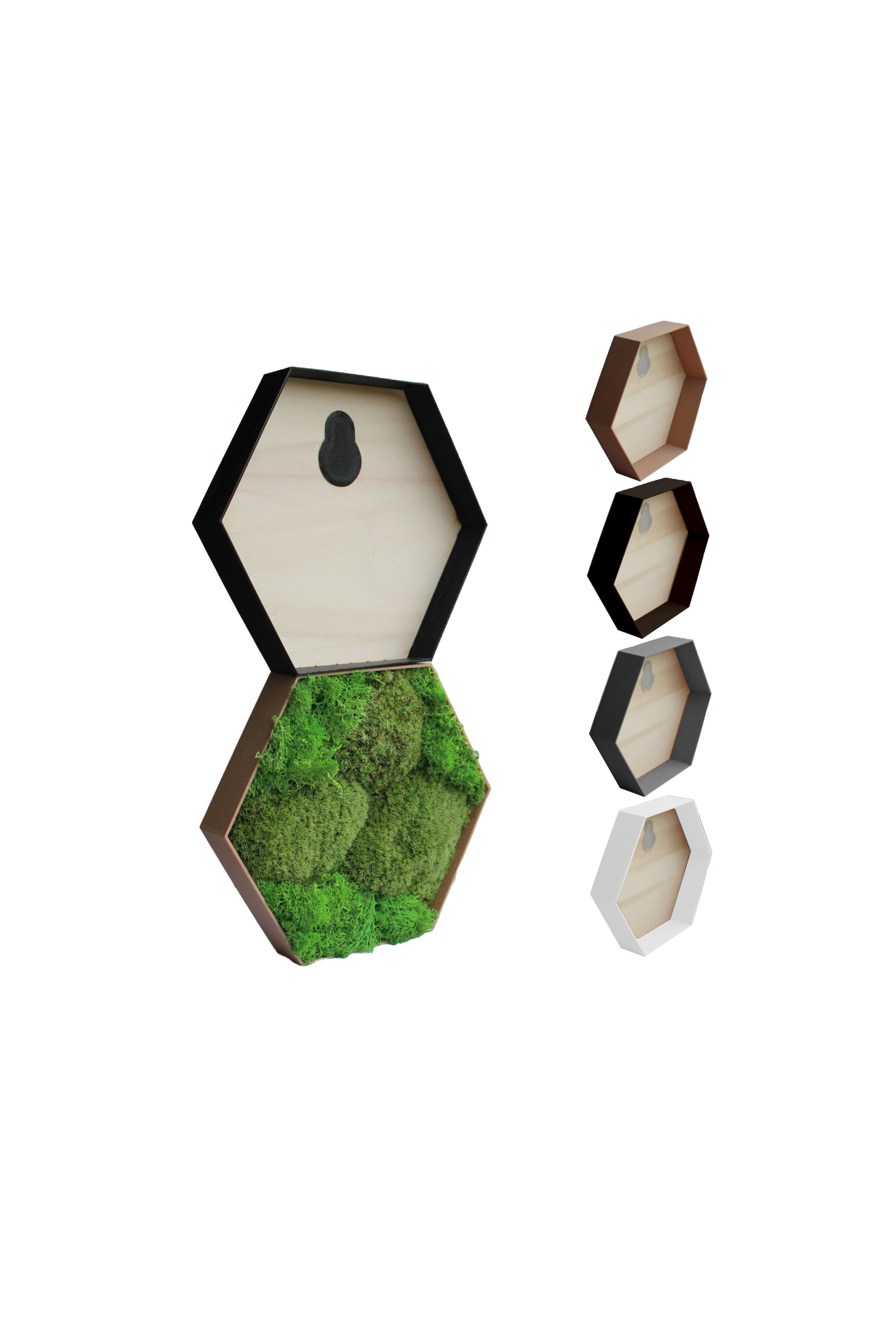 Hexagon Rahmen für Moosbilder
