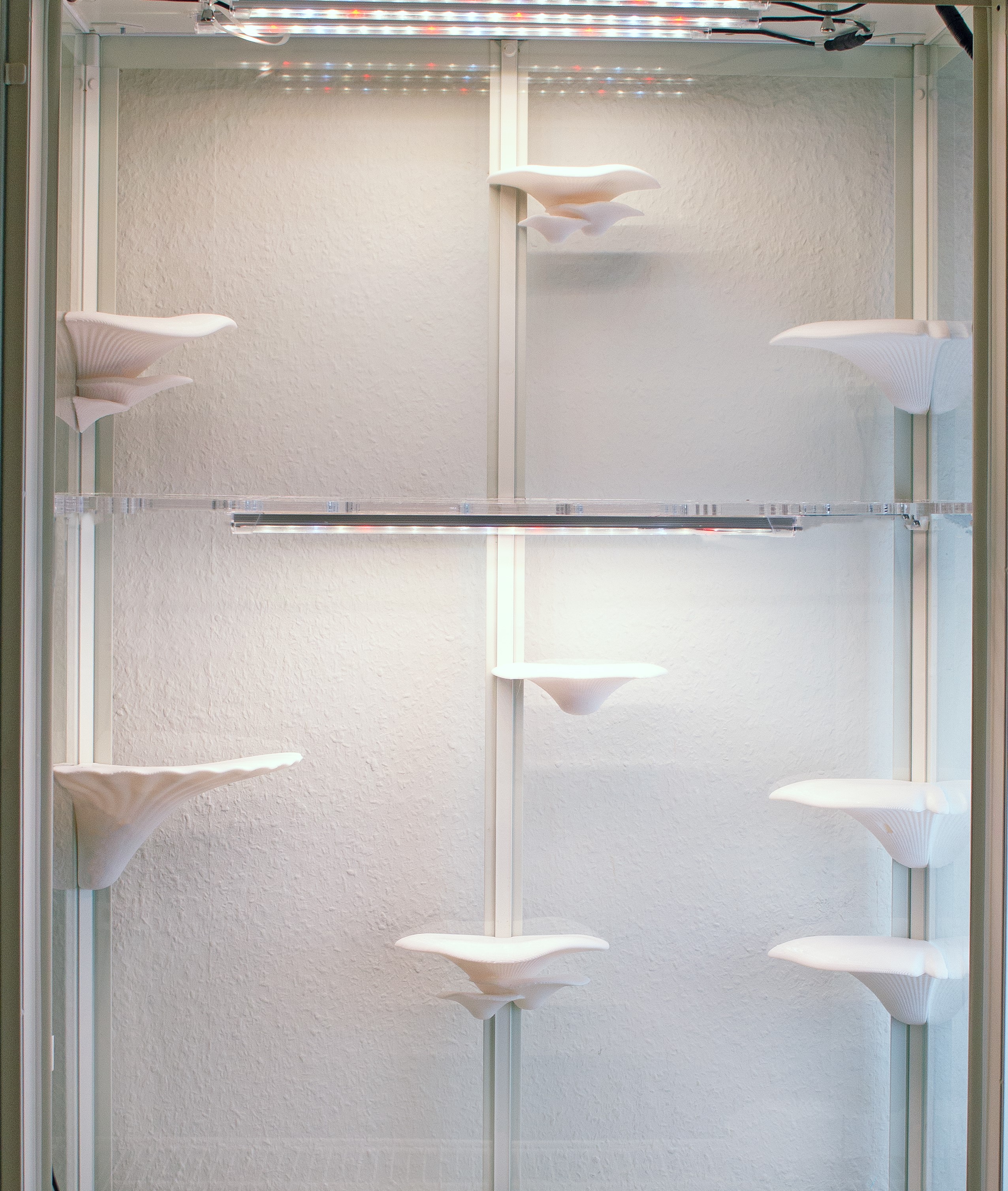 Pilzförmige Regale für Milsbo Vitrine