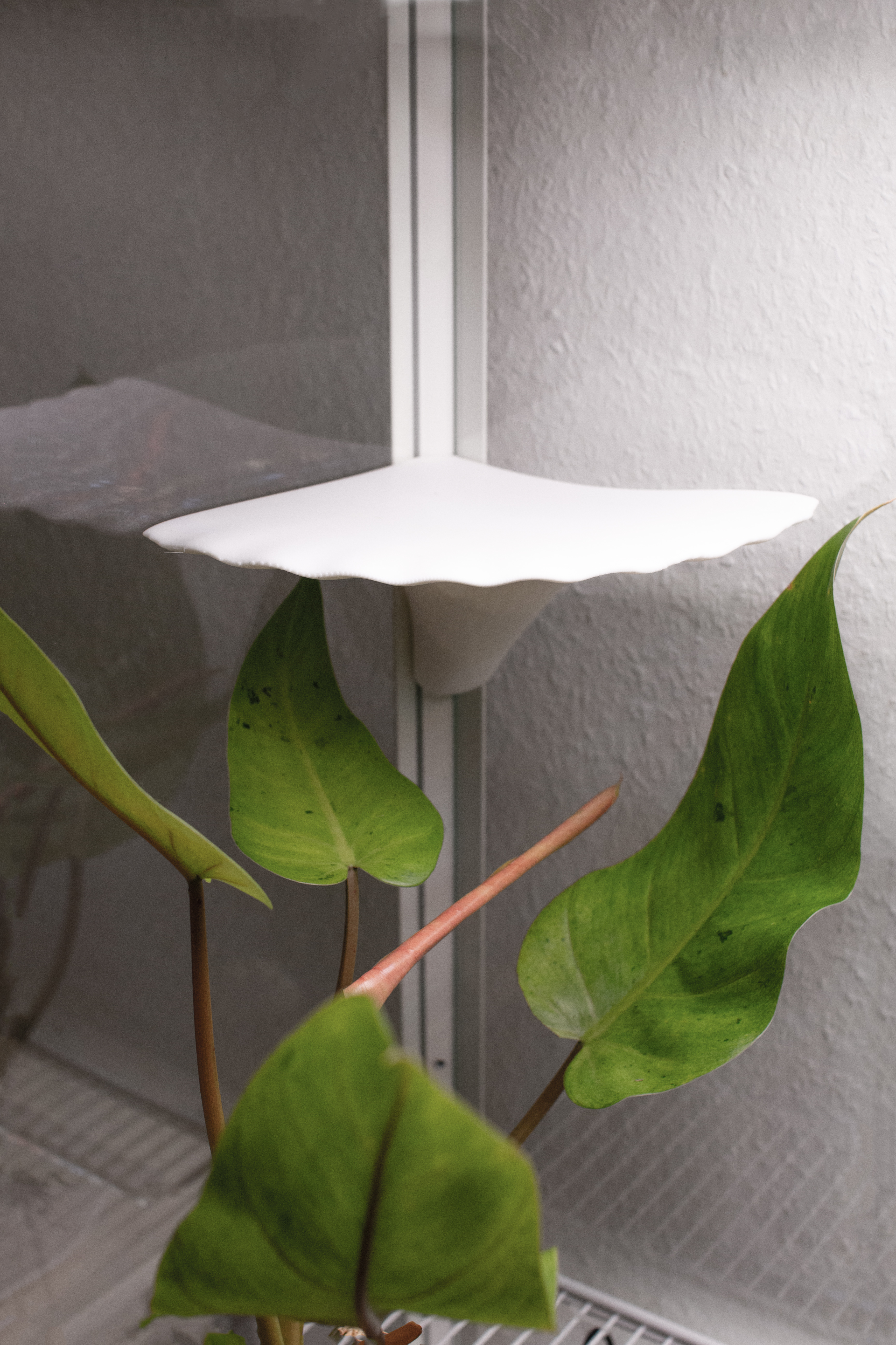 Pilzförmige Regale für Milsbo Vitrine