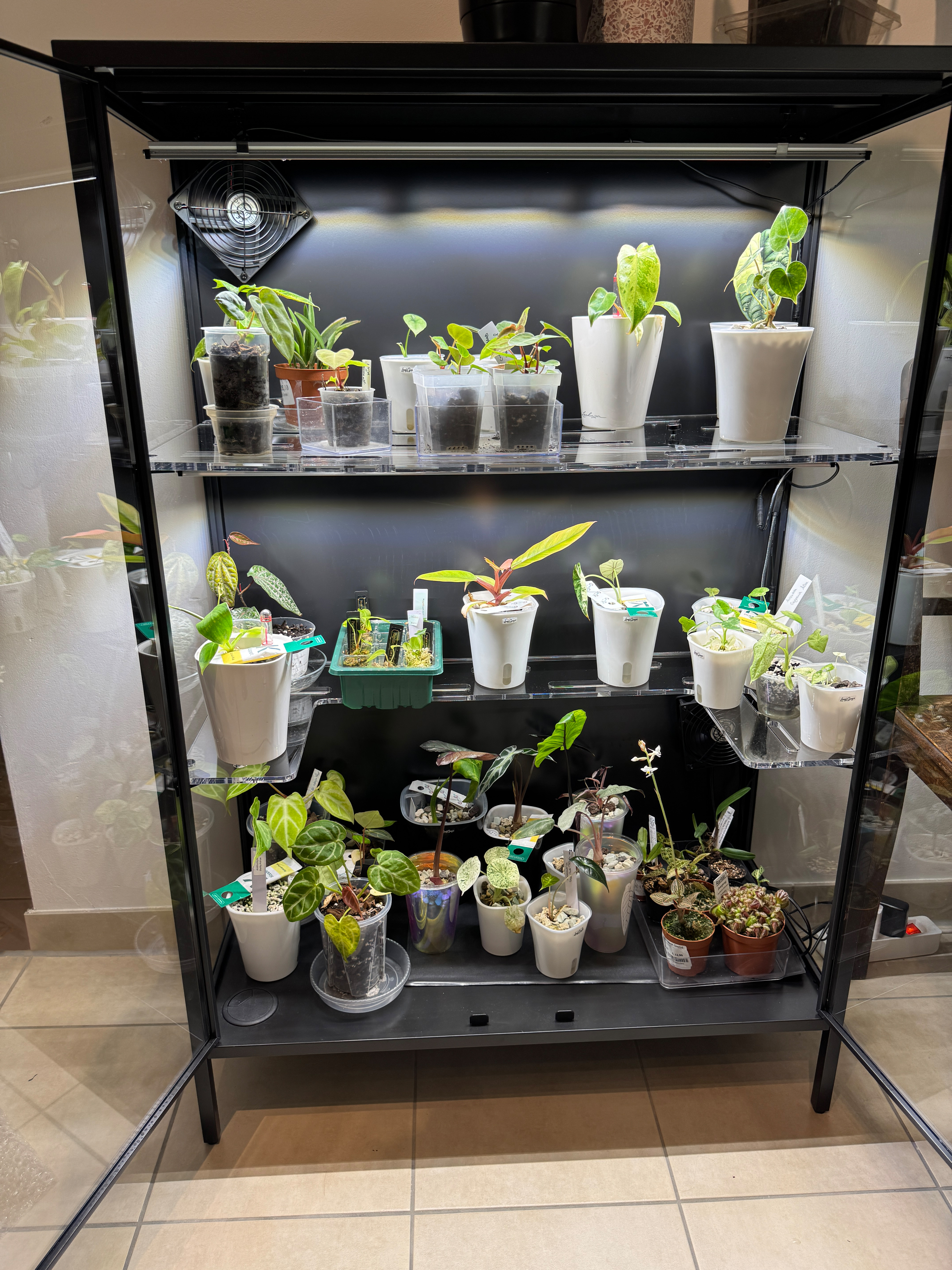 Rudsta Breit Einlegeböden | Greenhouse | Pflanzeneinsatz
