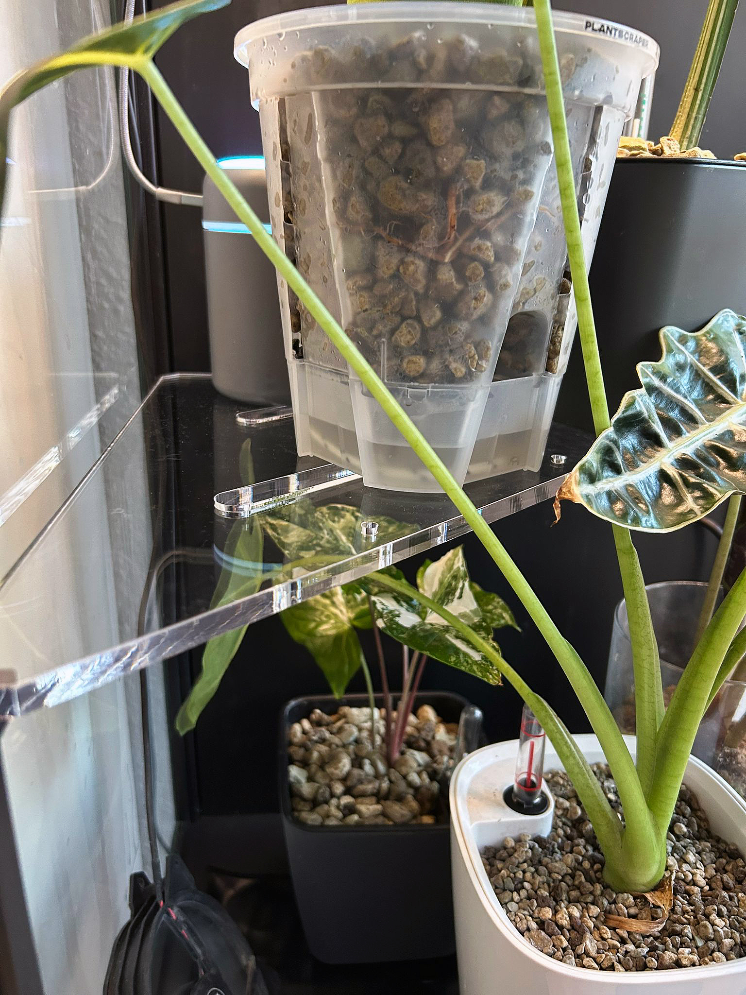 Rudsta Hoch Einlegeböden | Greenhouse | Pflanzeneinsatz | Gewächshaus