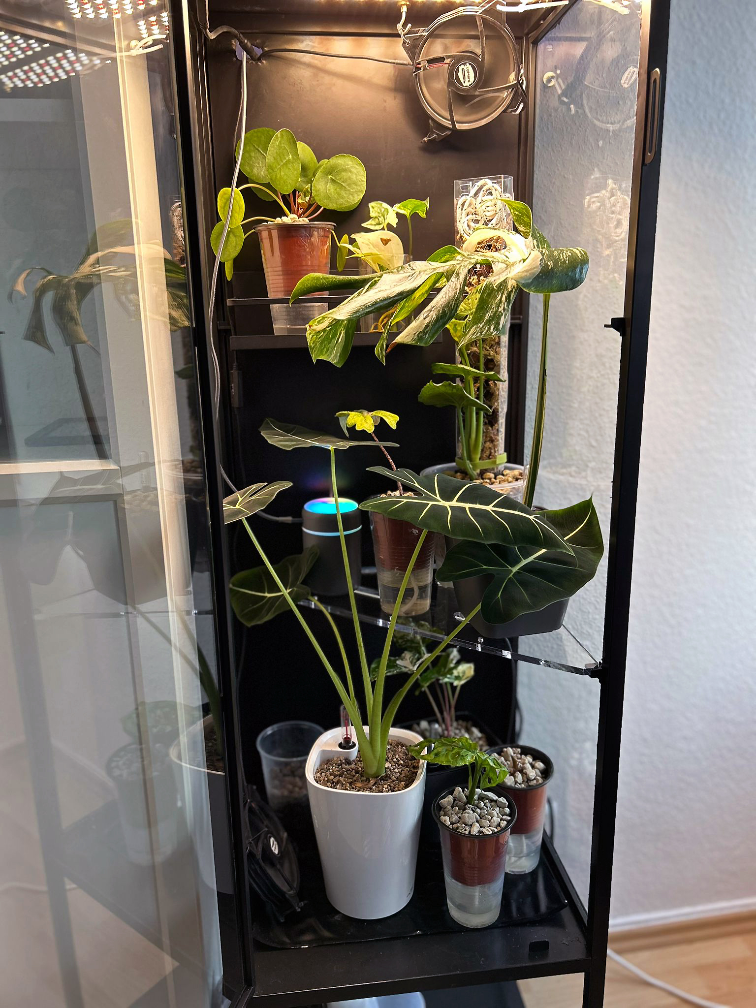 Rudsta Hoch Einlegeböden | Greenhouse | Pflanzeneinsatz | Gewächshaus